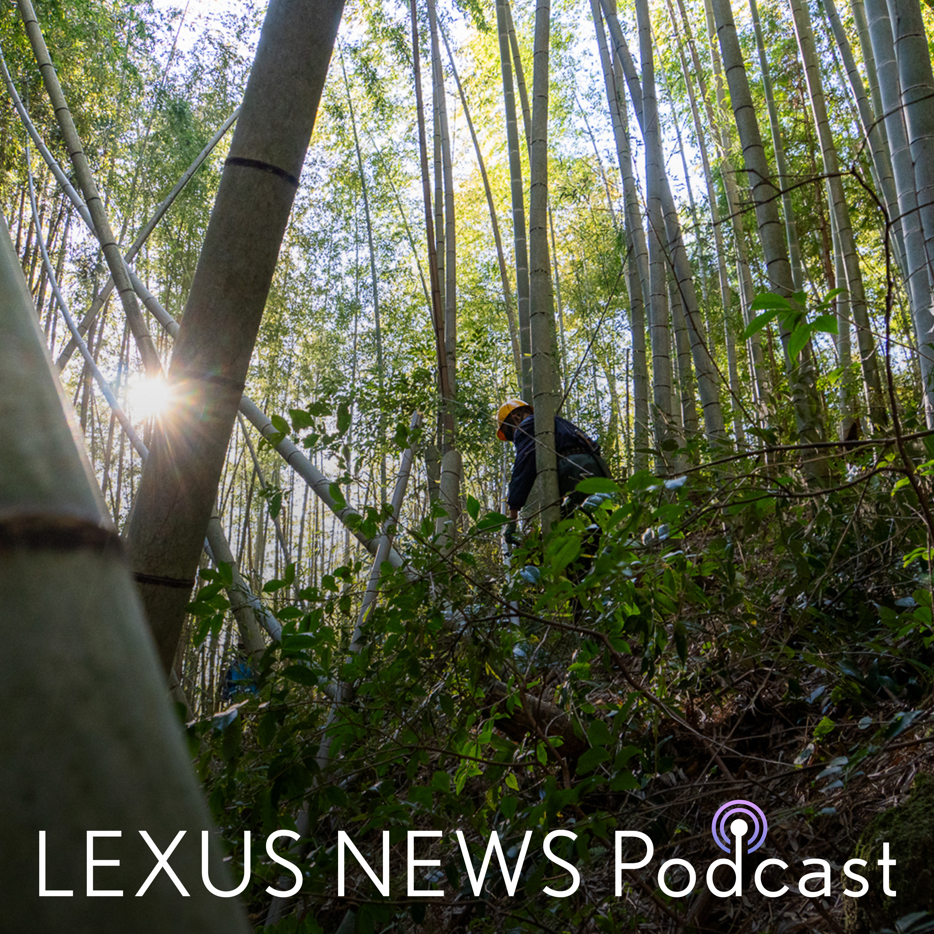 LEXUS NEWS Podcast