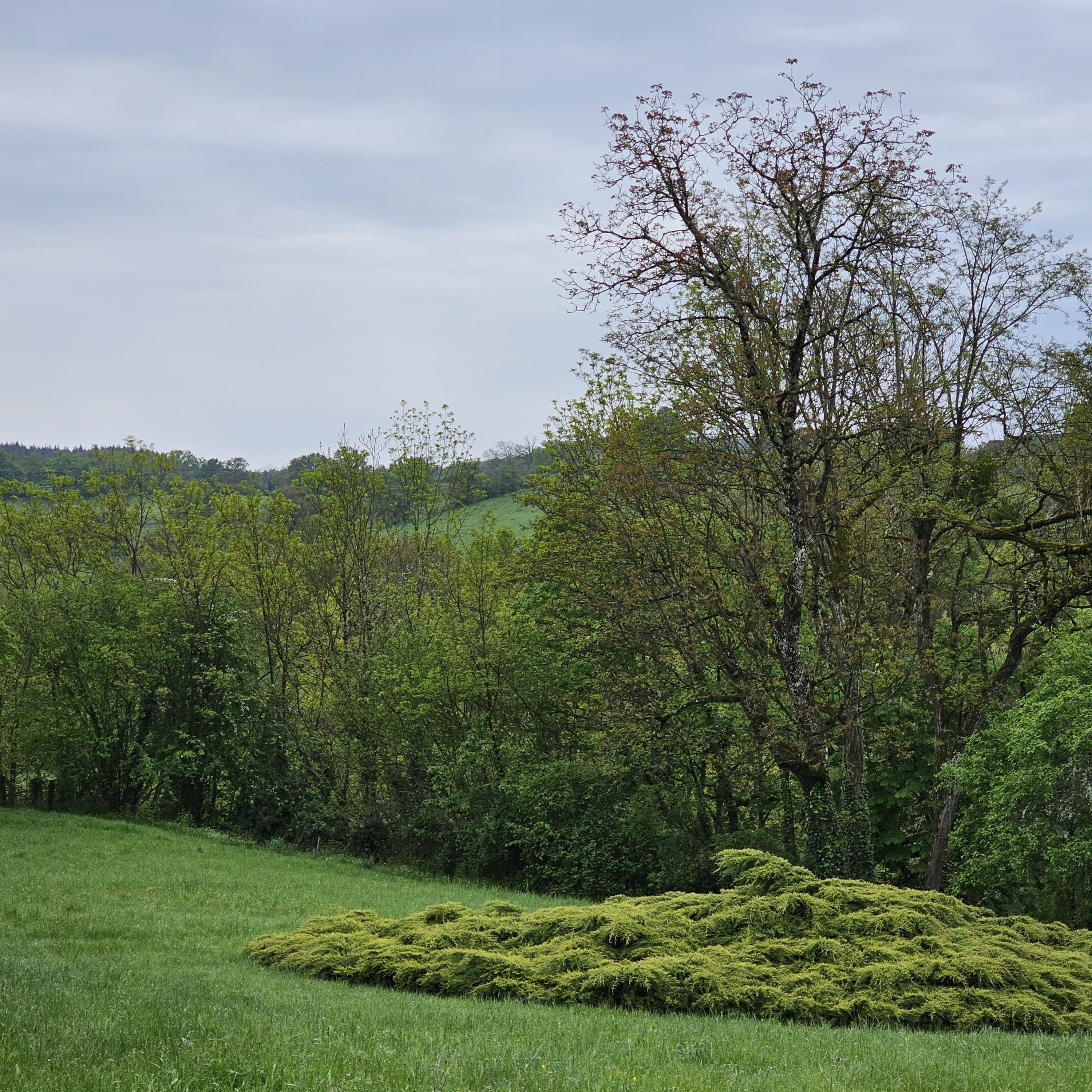 Le Morvan en Avril: 29 april, 15:00u episode artwork