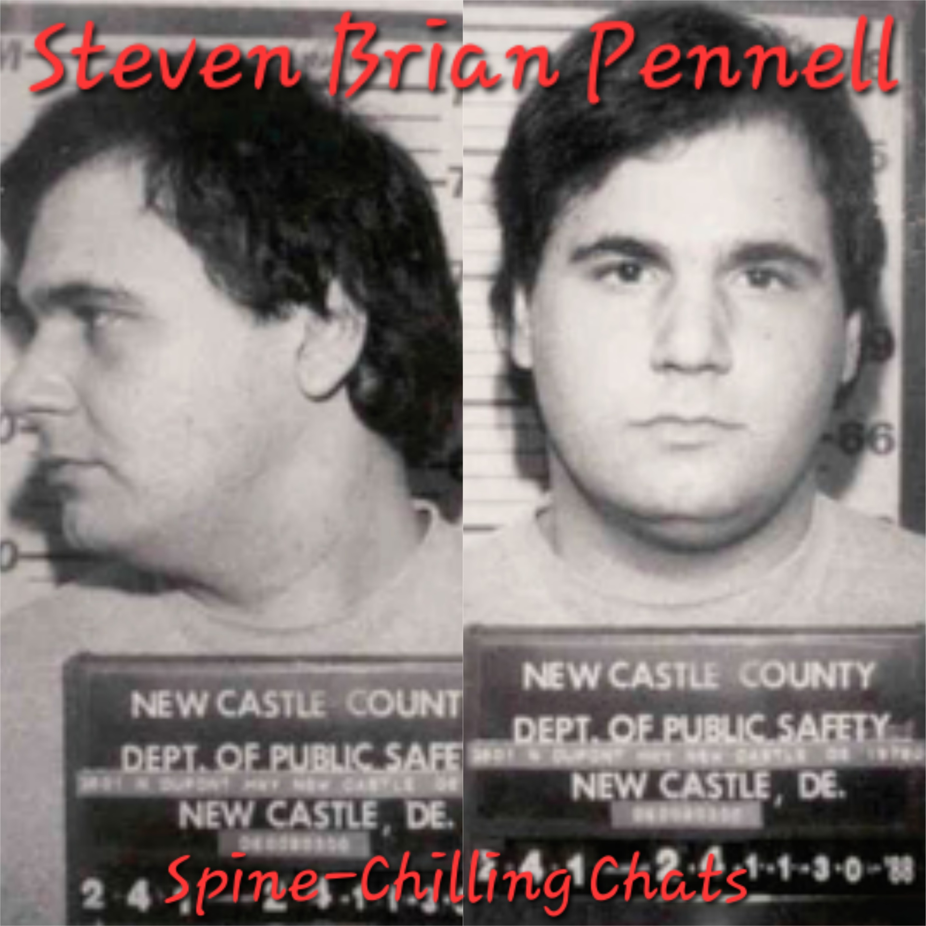 Spine-Chilling Chats