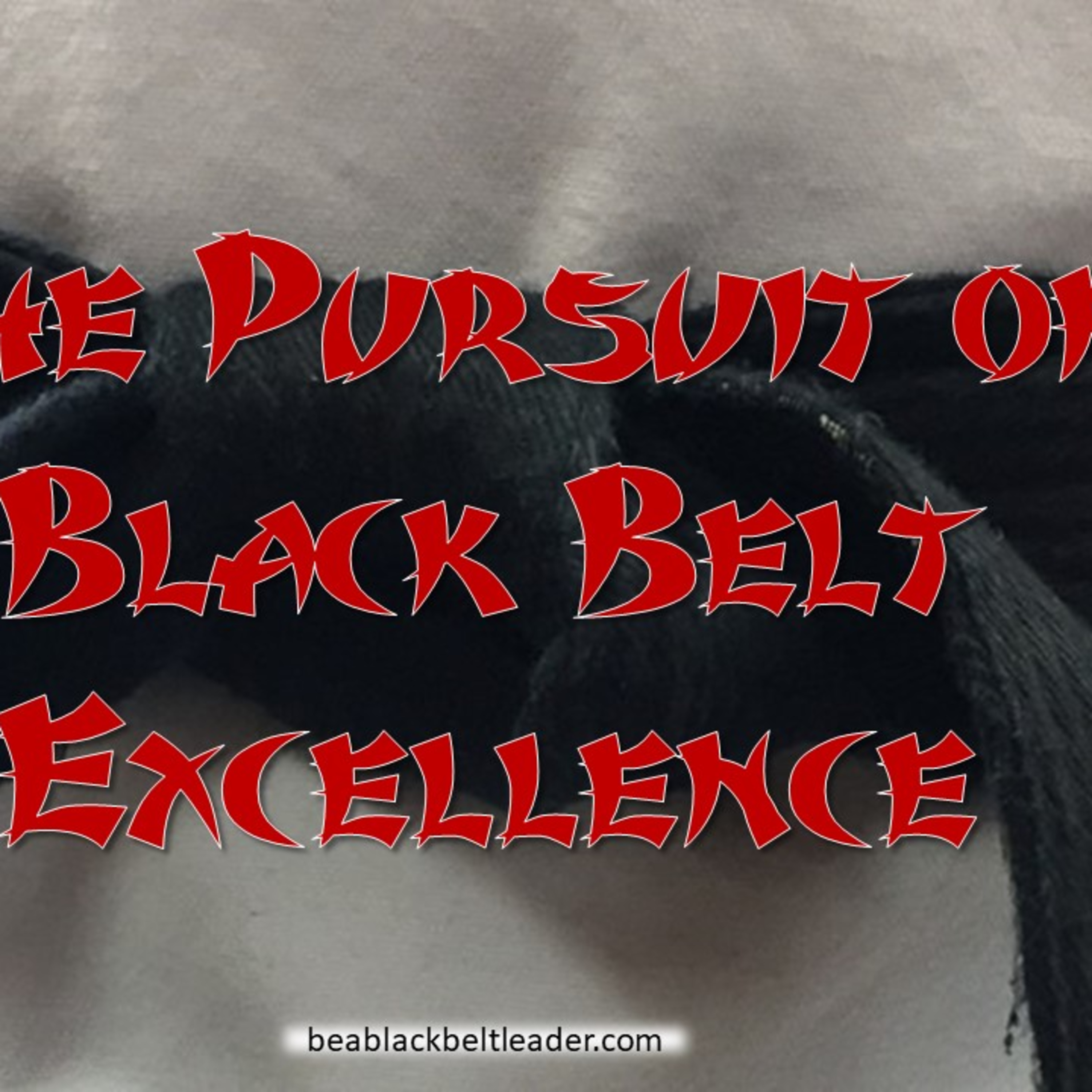 Black Belt Leadership