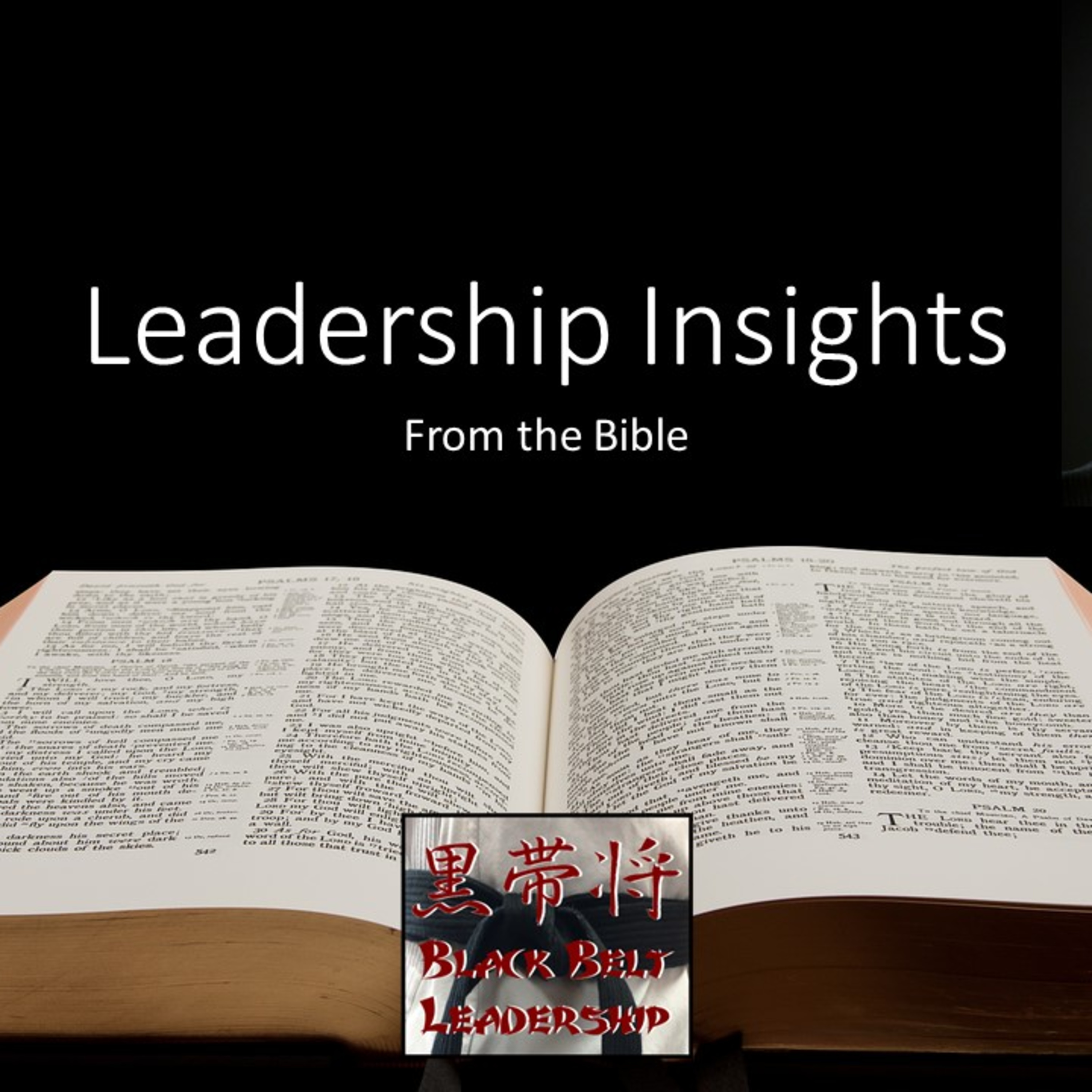 Leadership Insights from the Bible: Genesis 41 (Part 2) episode artwork