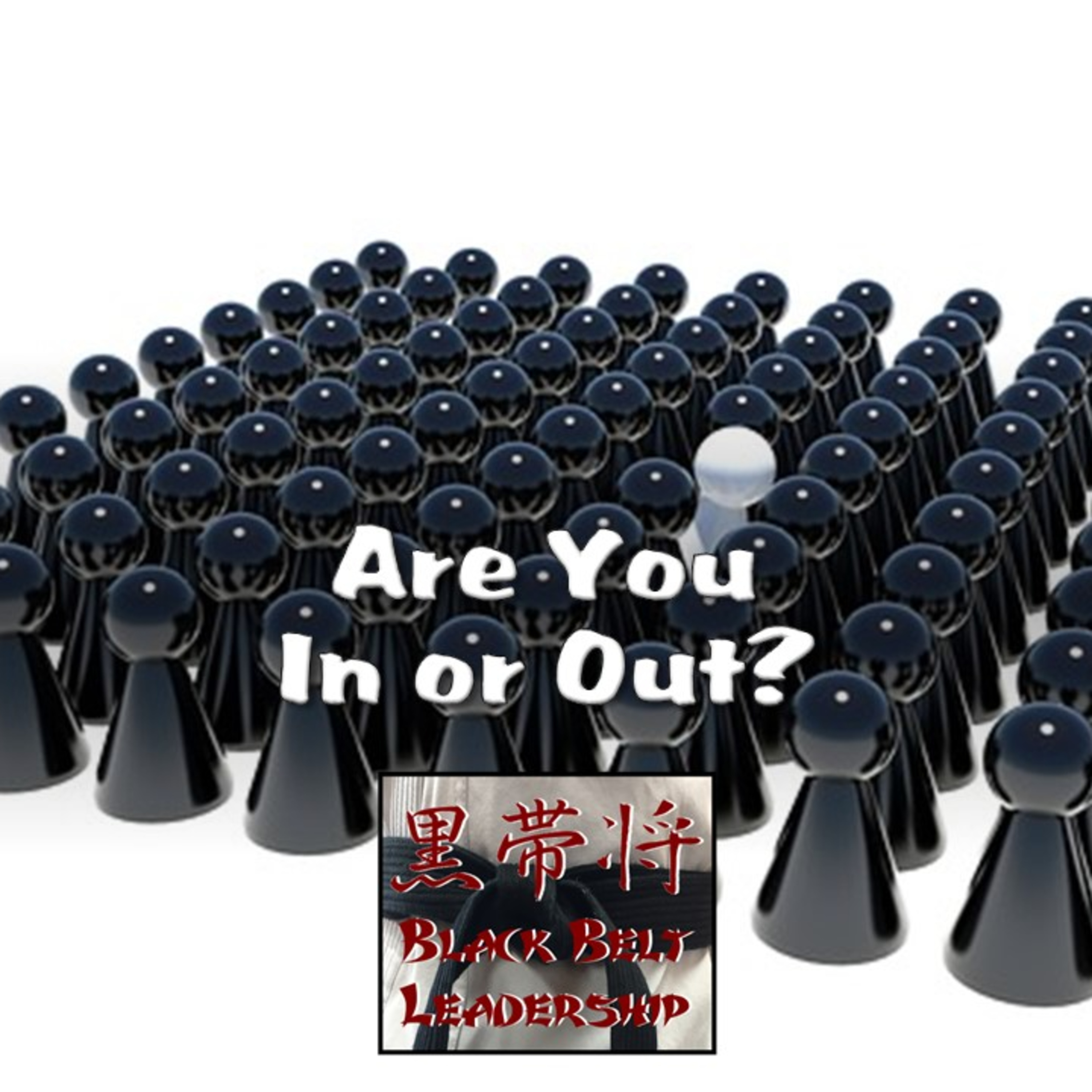 Are You In or Out? episode artwork