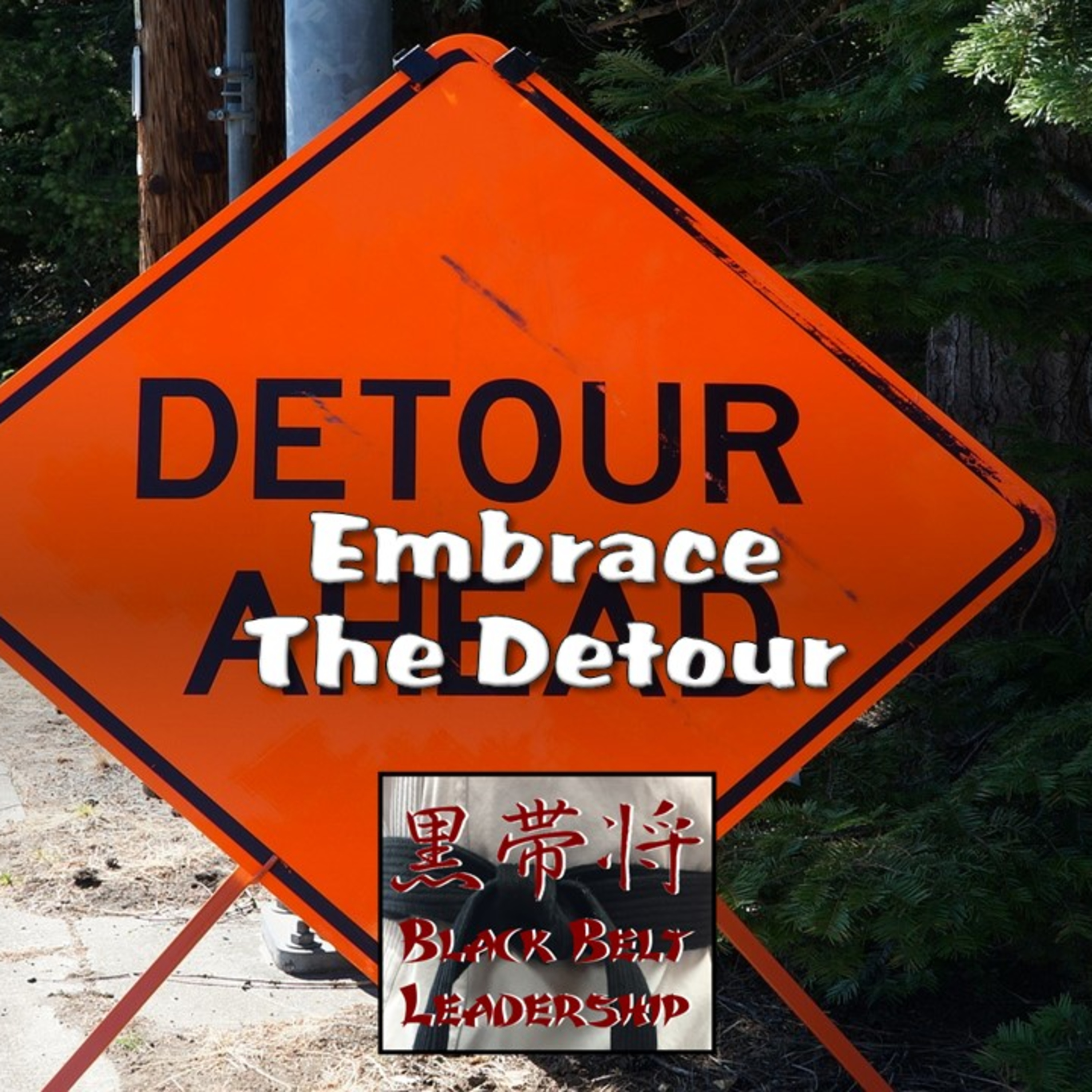 Embrace the Detour episode artwork