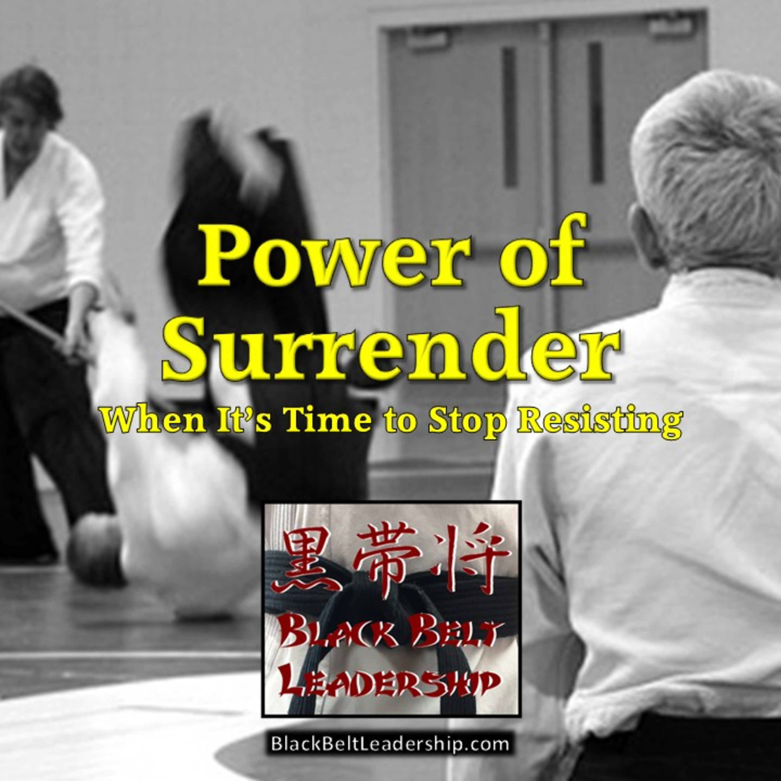 Black Belt Leadership