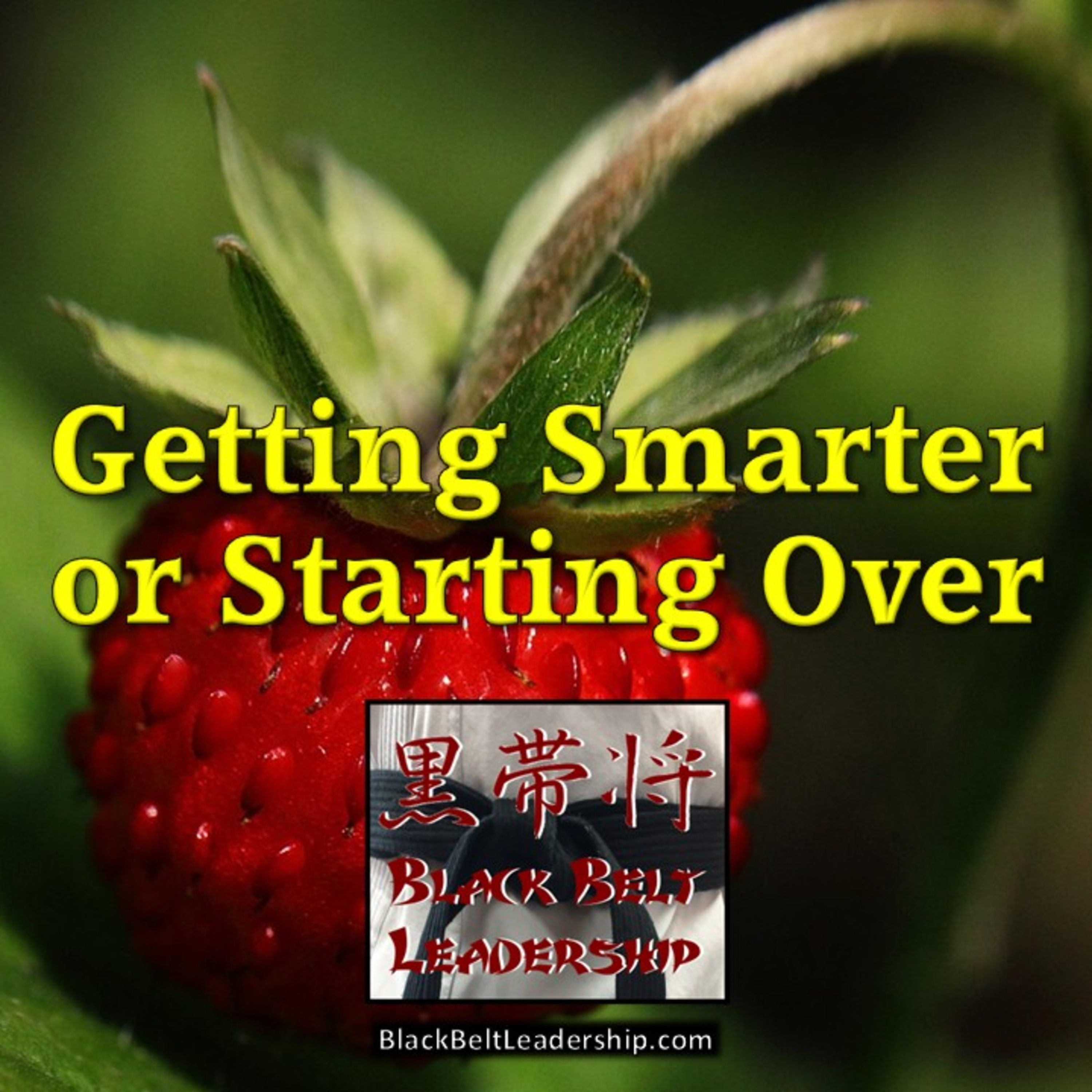 Getting Smarter or Starting Over episode artwork
