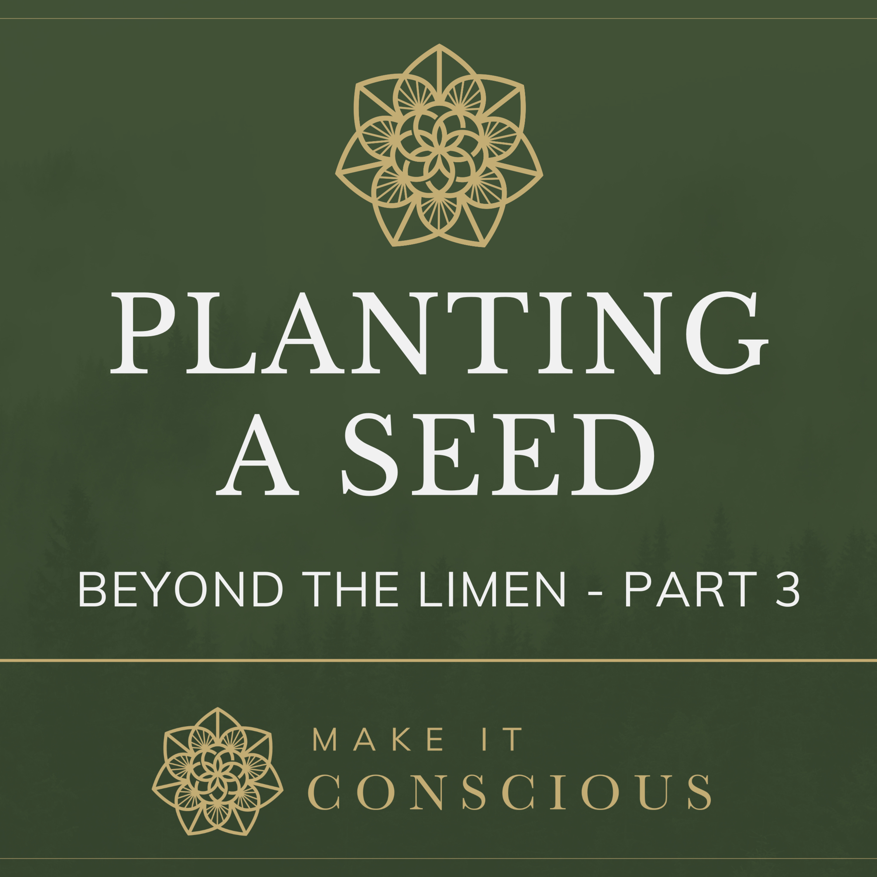 Beyond The Limen - Part 3 - Planting a Seed - Introduction to Active Imagination Series