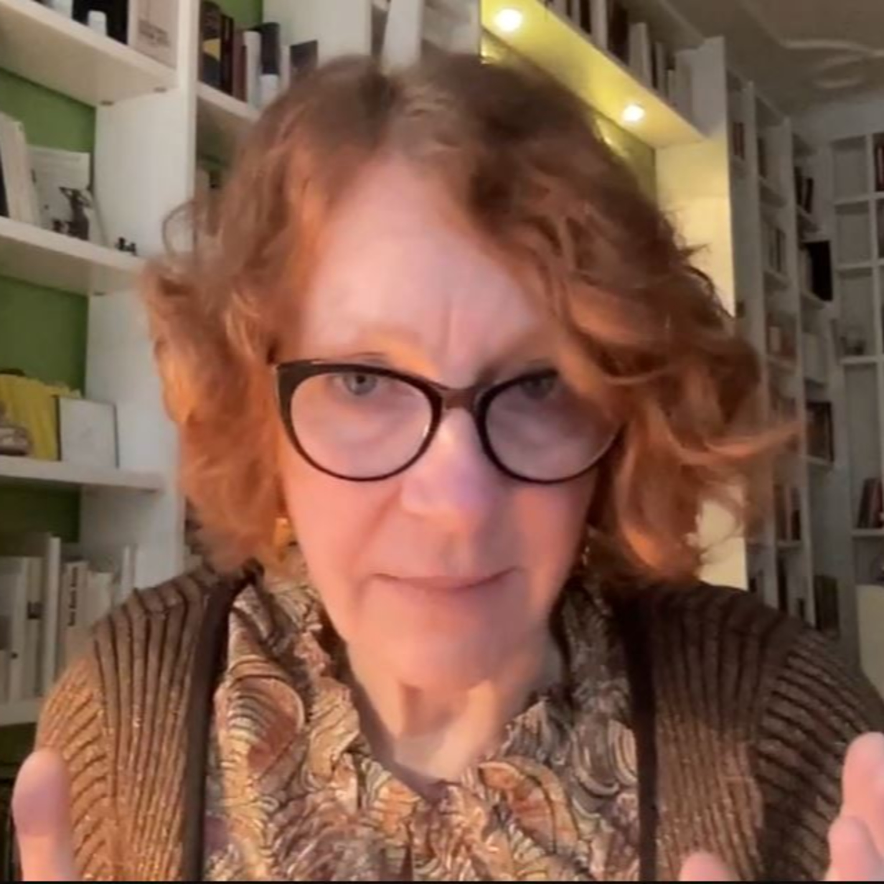 Ulrike Guérot im Gespräch: So sieht die demokratische Krise aus episode artwork