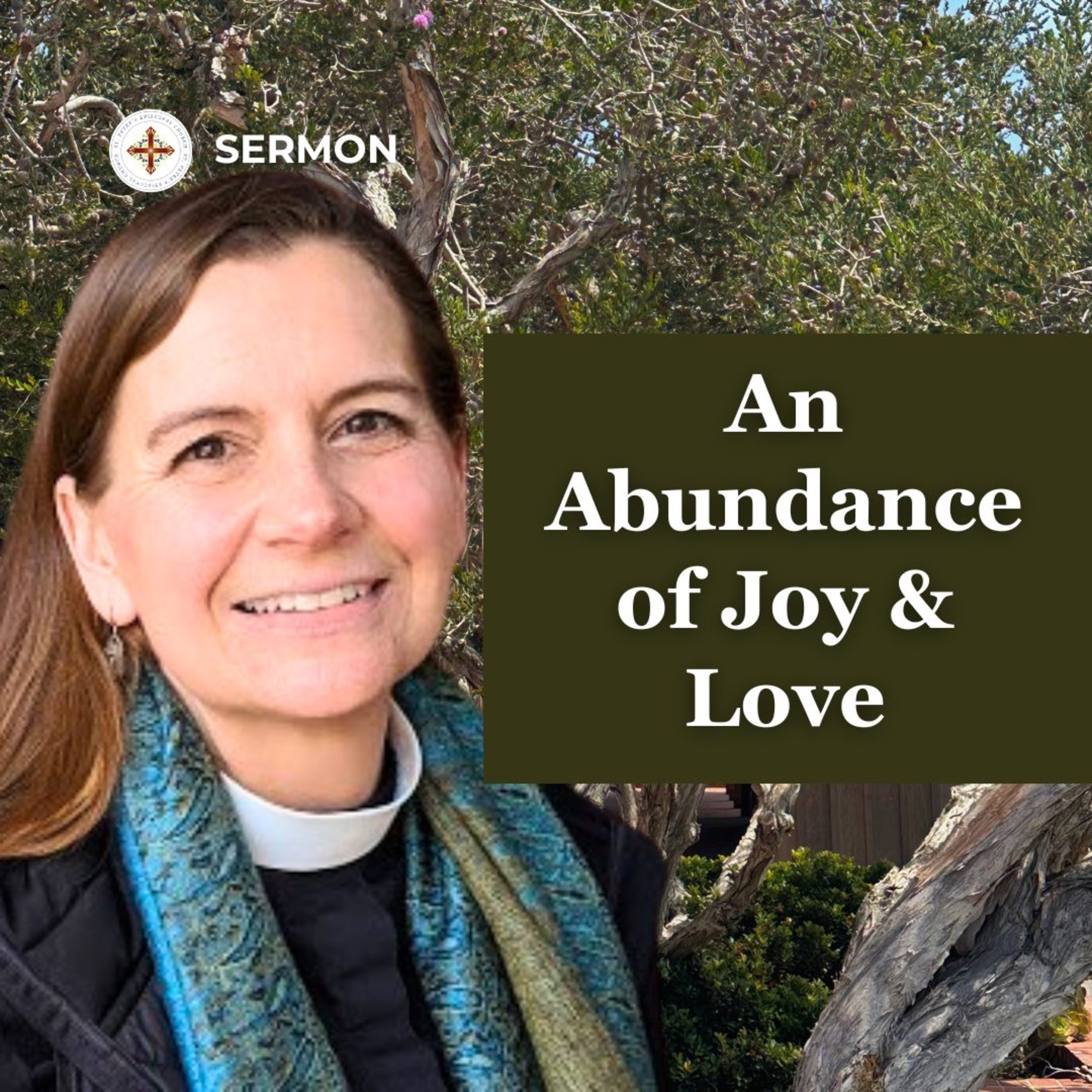 An Abundance of Joy and Love | Epiphany 2 Sermon | The Rev. Paige Blair-Hubert episode artwork