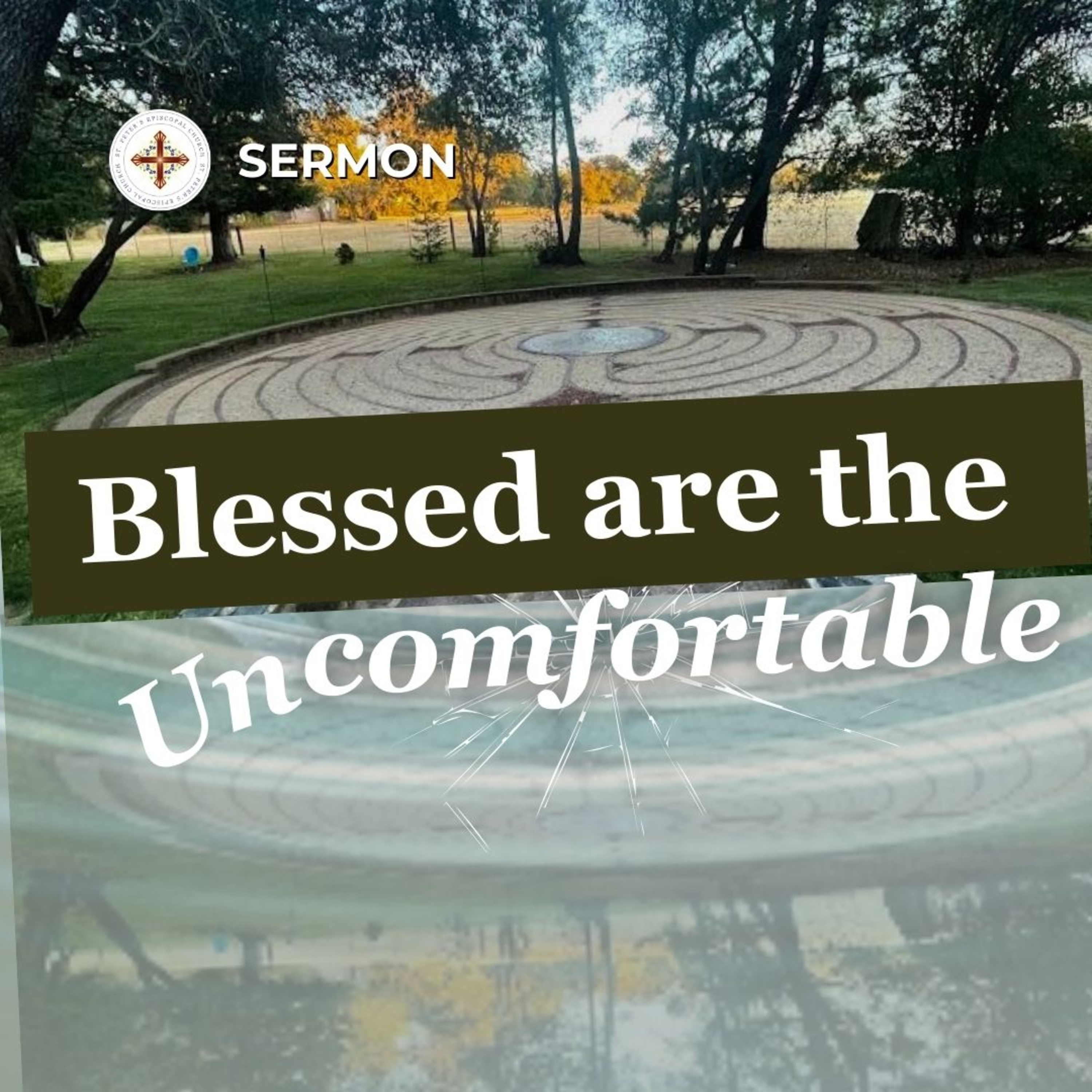 Blessed Are the Uncomfortable | Epiphany 6 Sermon | The Rev. Paige Blair-Hubert episode artwork