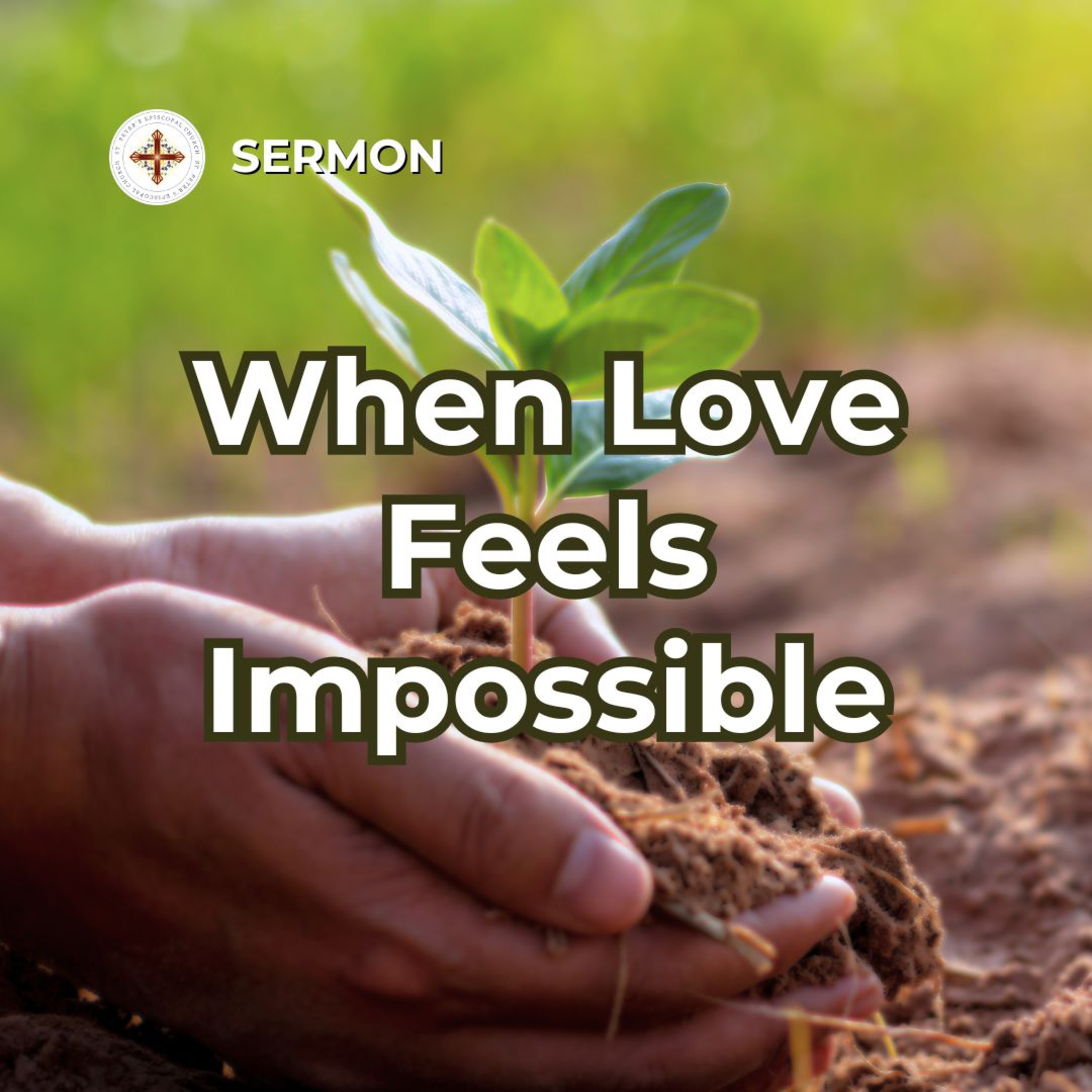 When Love Feels Impossible | Epiphany 7 Sermon | The Rev. Paige Blair-Hubert episode artwork