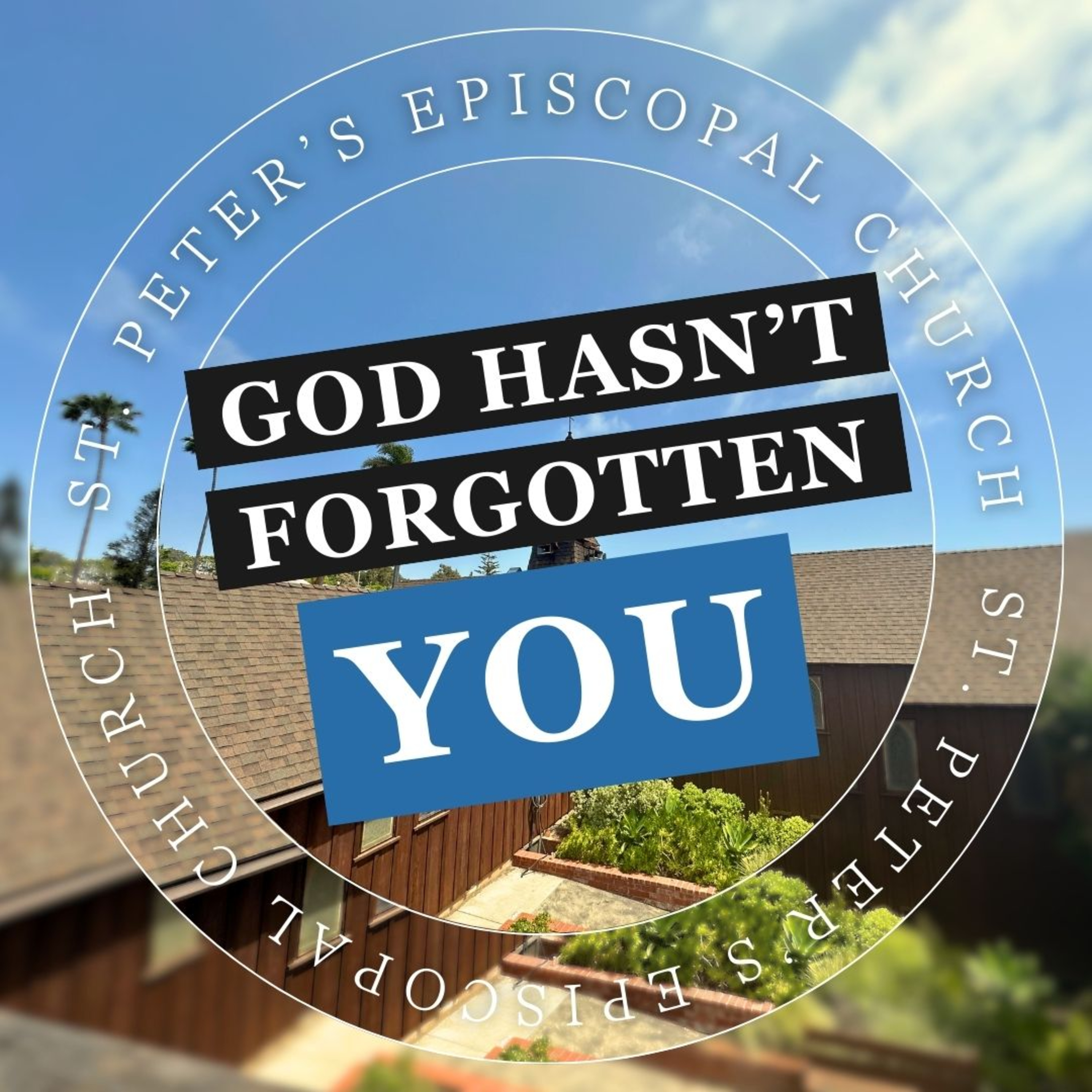 Discover the God Who Sees You, Calls You, and Sets You Free | The Rev. Susan Astarita episode artwork