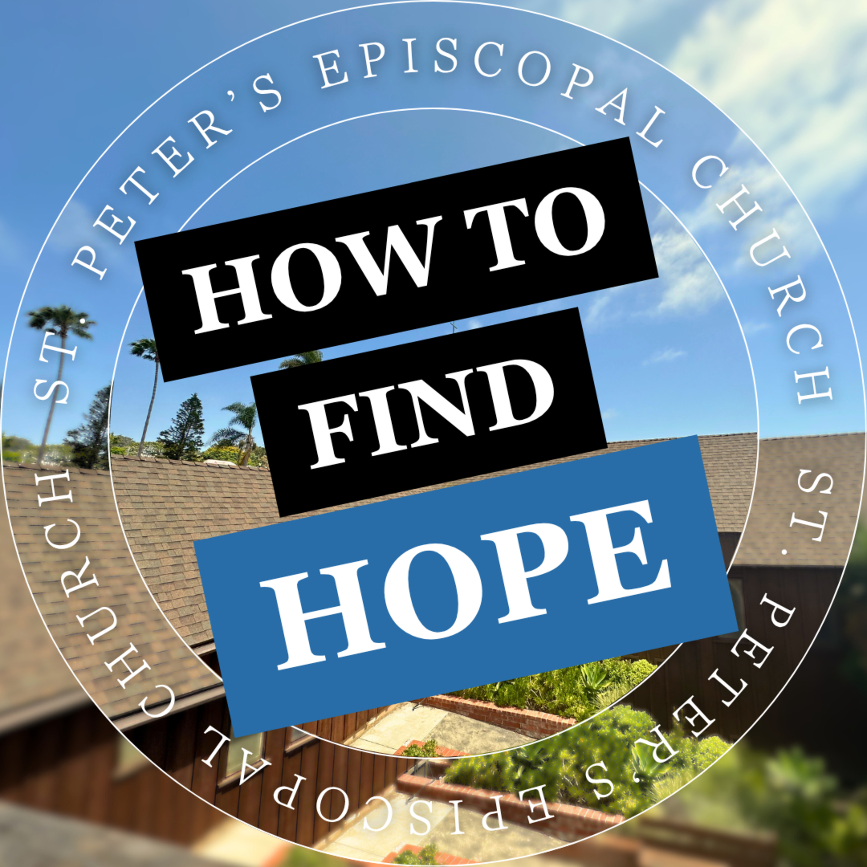 Unyielding Hope: Be the 'Persistent Widow' in a Rigged System | The Rev. Paige Blair-Hubert episode artwork