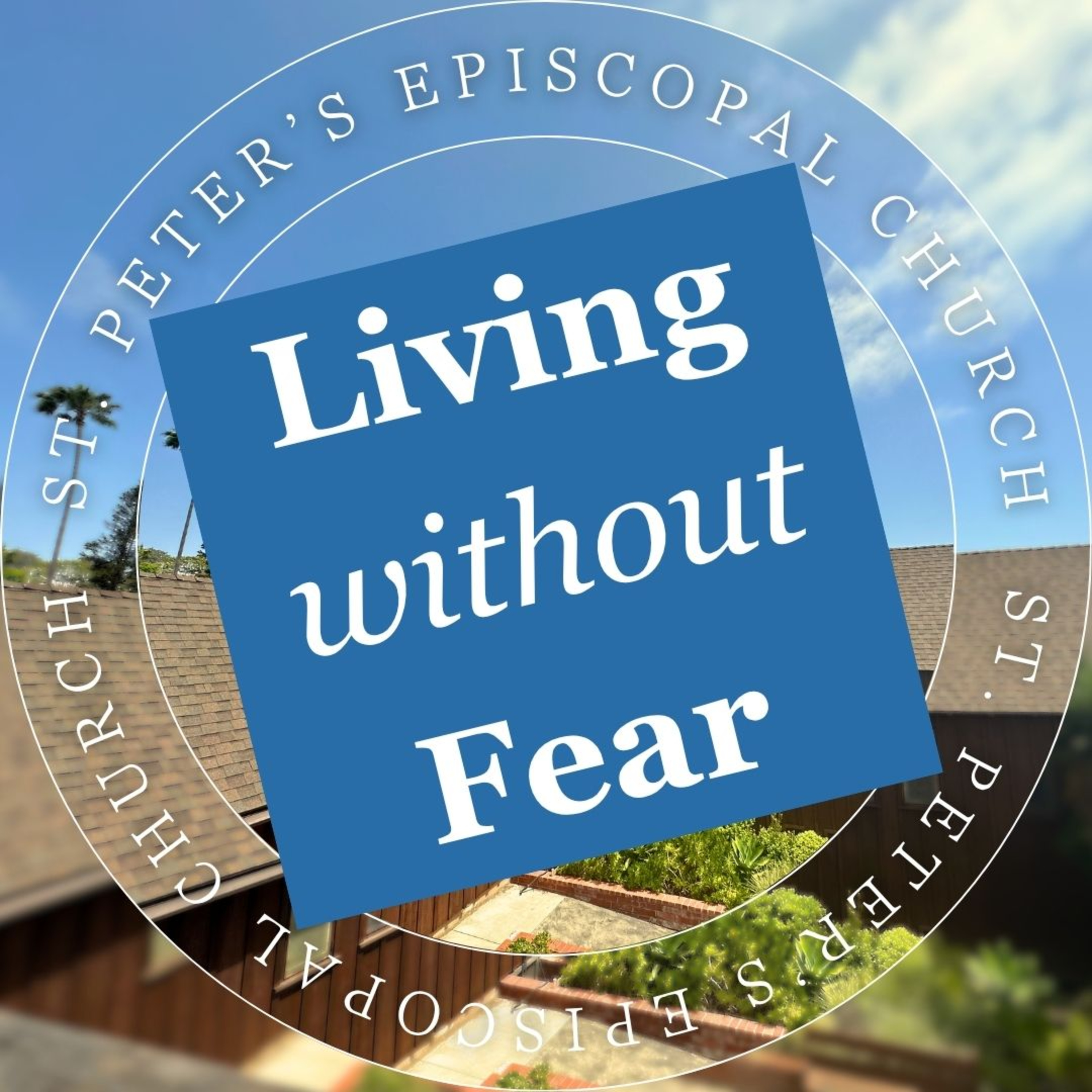 Faith in Resurrection: Exploring the Gospel's Provocative Questions | The Rev. Susan Astarita episode artwork