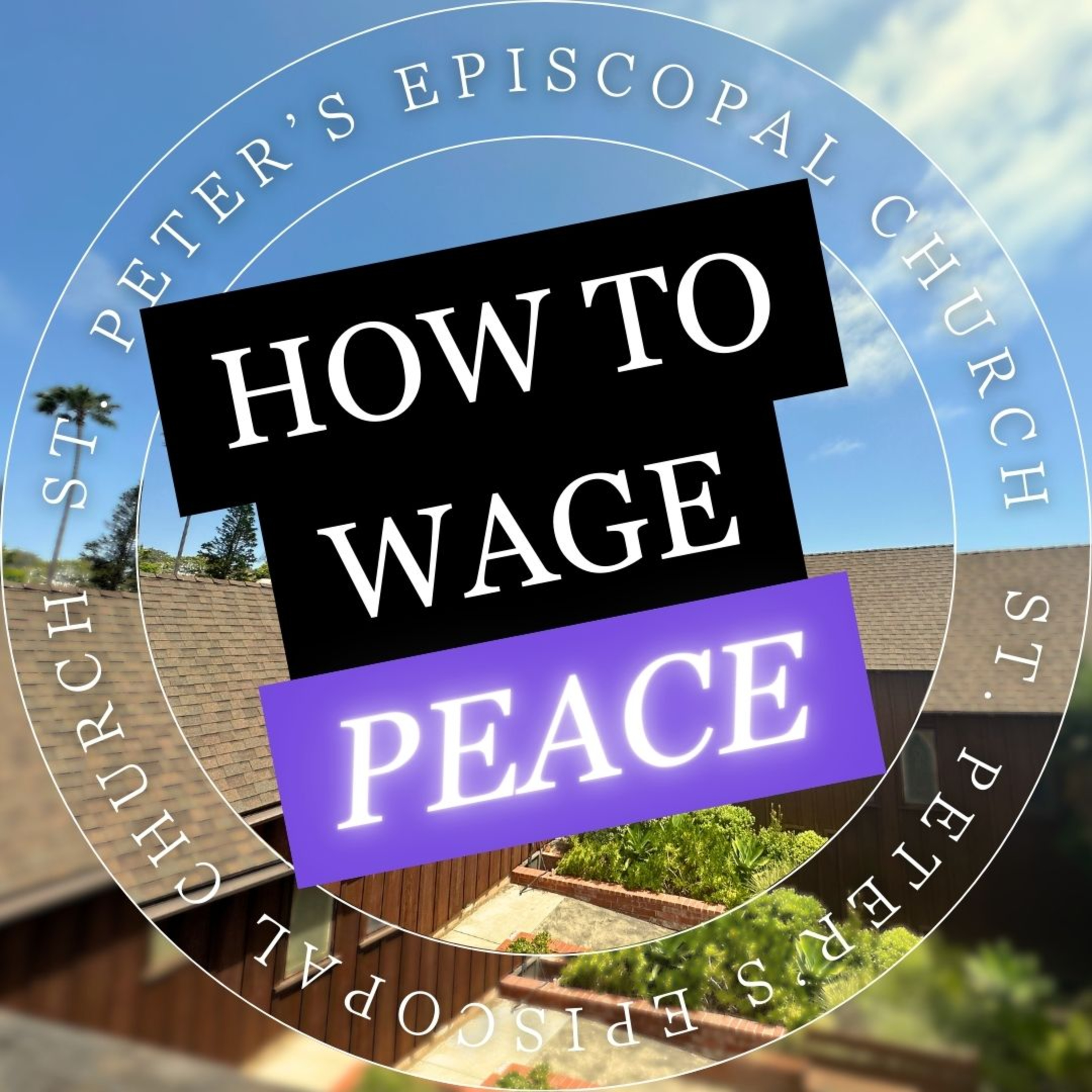 Awaken to Advent: A Call to Wage Peace and Reconciliation | The Rev. Paige Blair-Hubert episode artwork