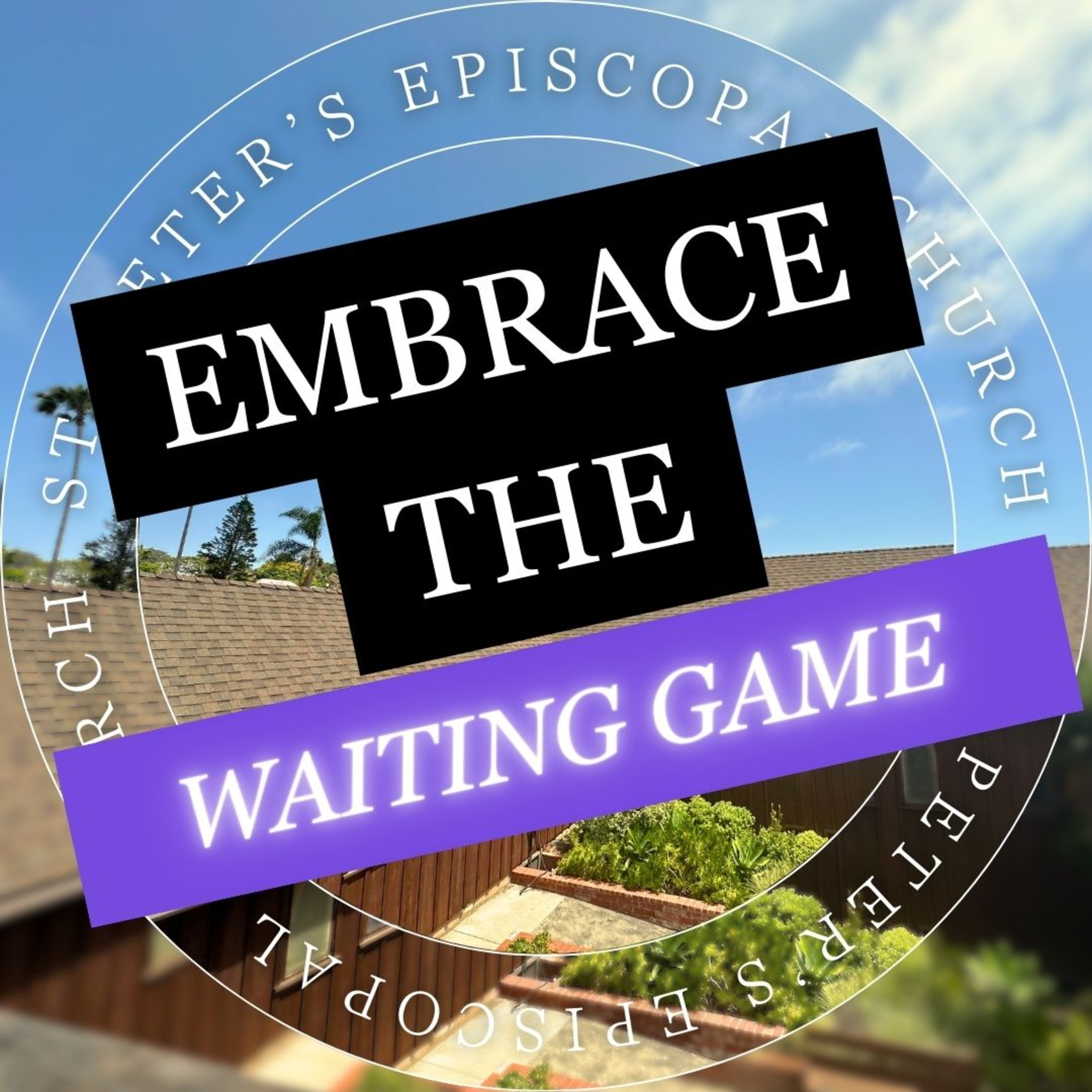 Ignite Your Faith: Embrace the Waiting Game of Advent | The Rev. Susan Astarita episode artwork