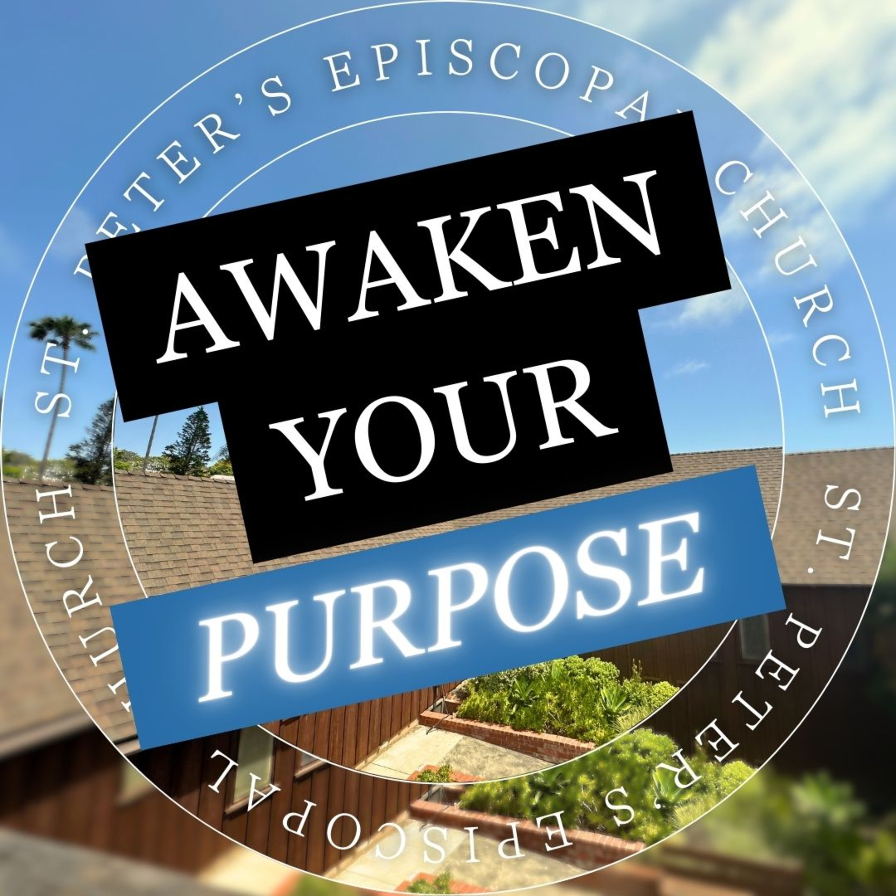 Awaken Your Purpose: Lessons from the Magi | Madeline Polhill