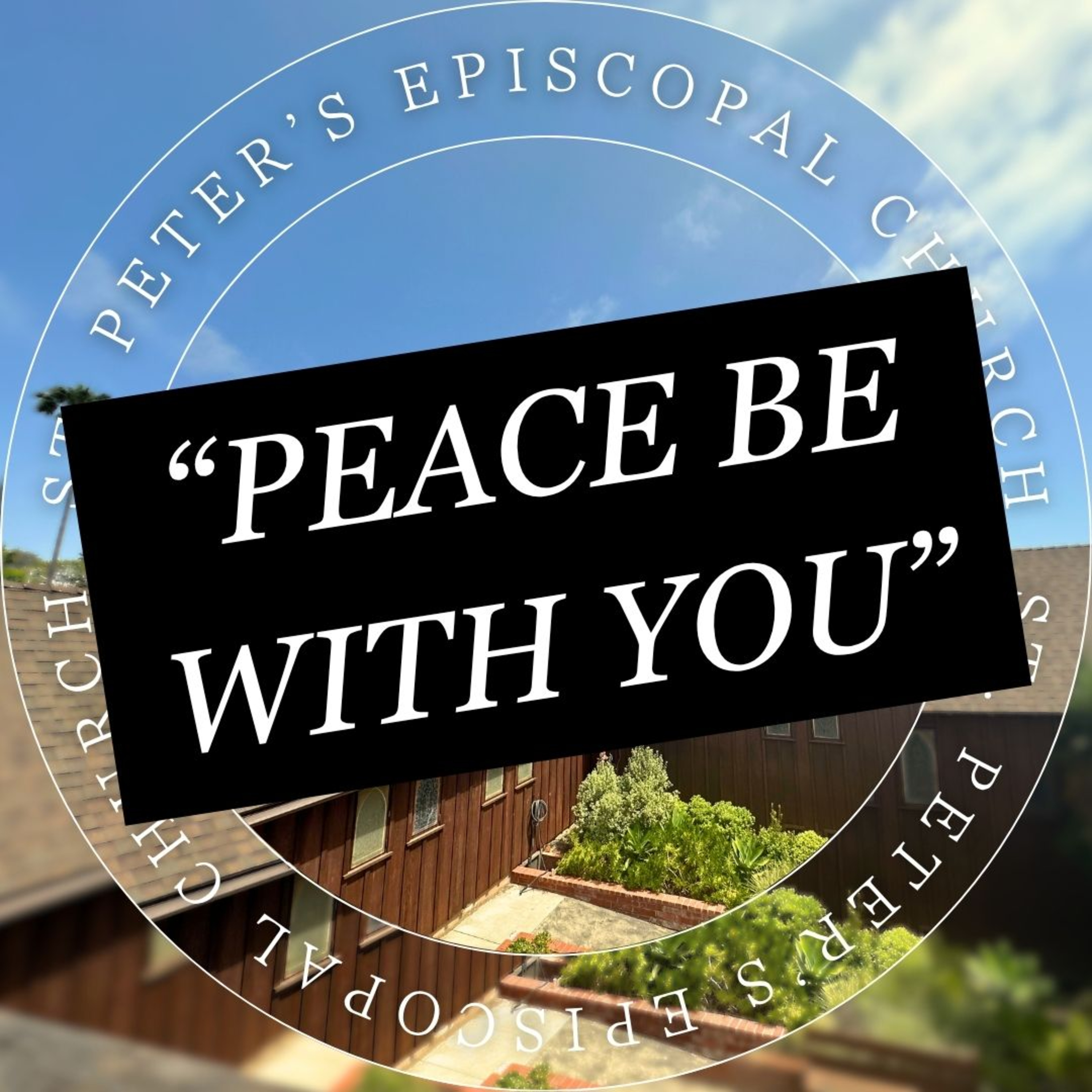 Peace Be With You: Resurrection Hope and NAMI Walks Support episode artwork