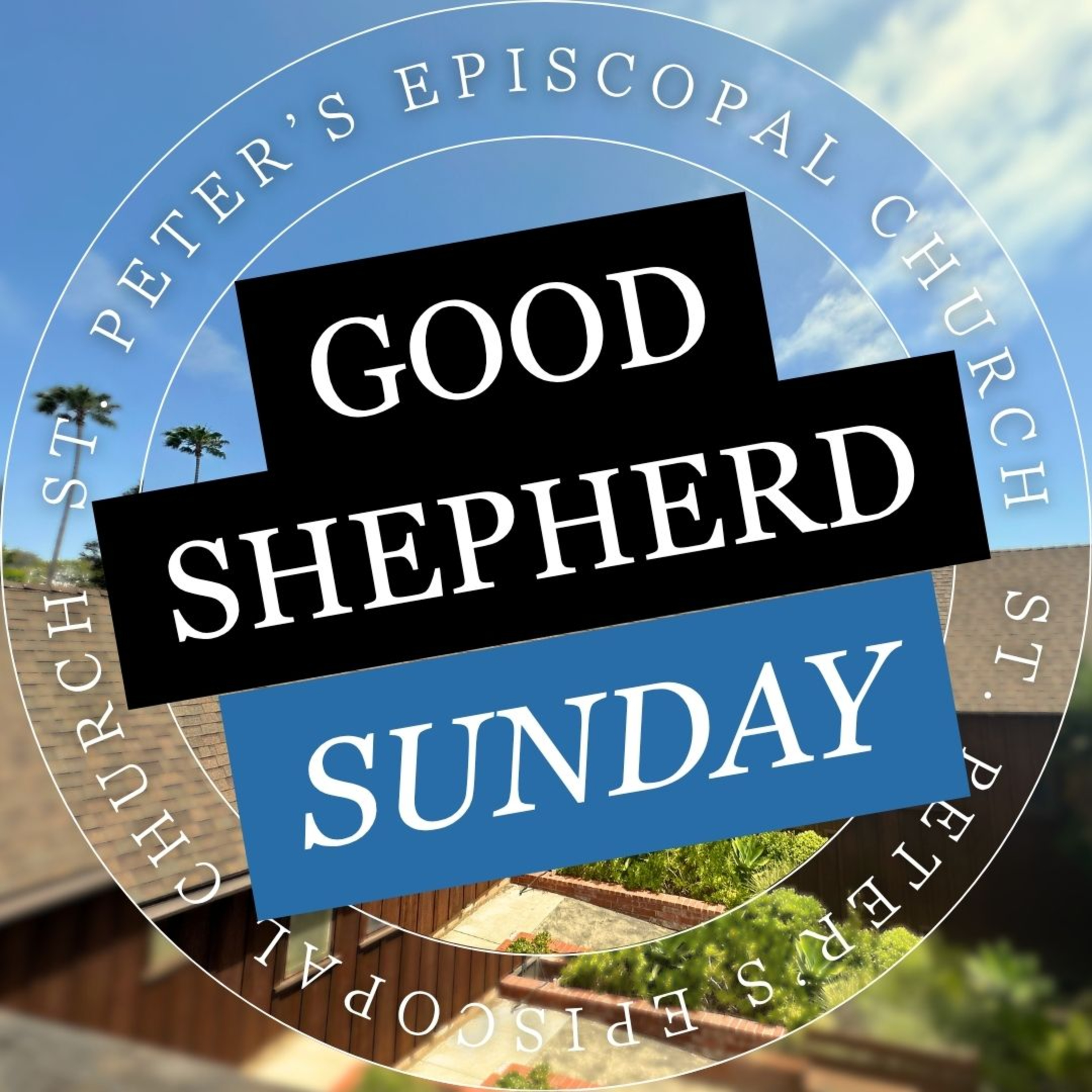 Good Shepherd Sunday: Belonging, the Creed, and the Peace episode artwork