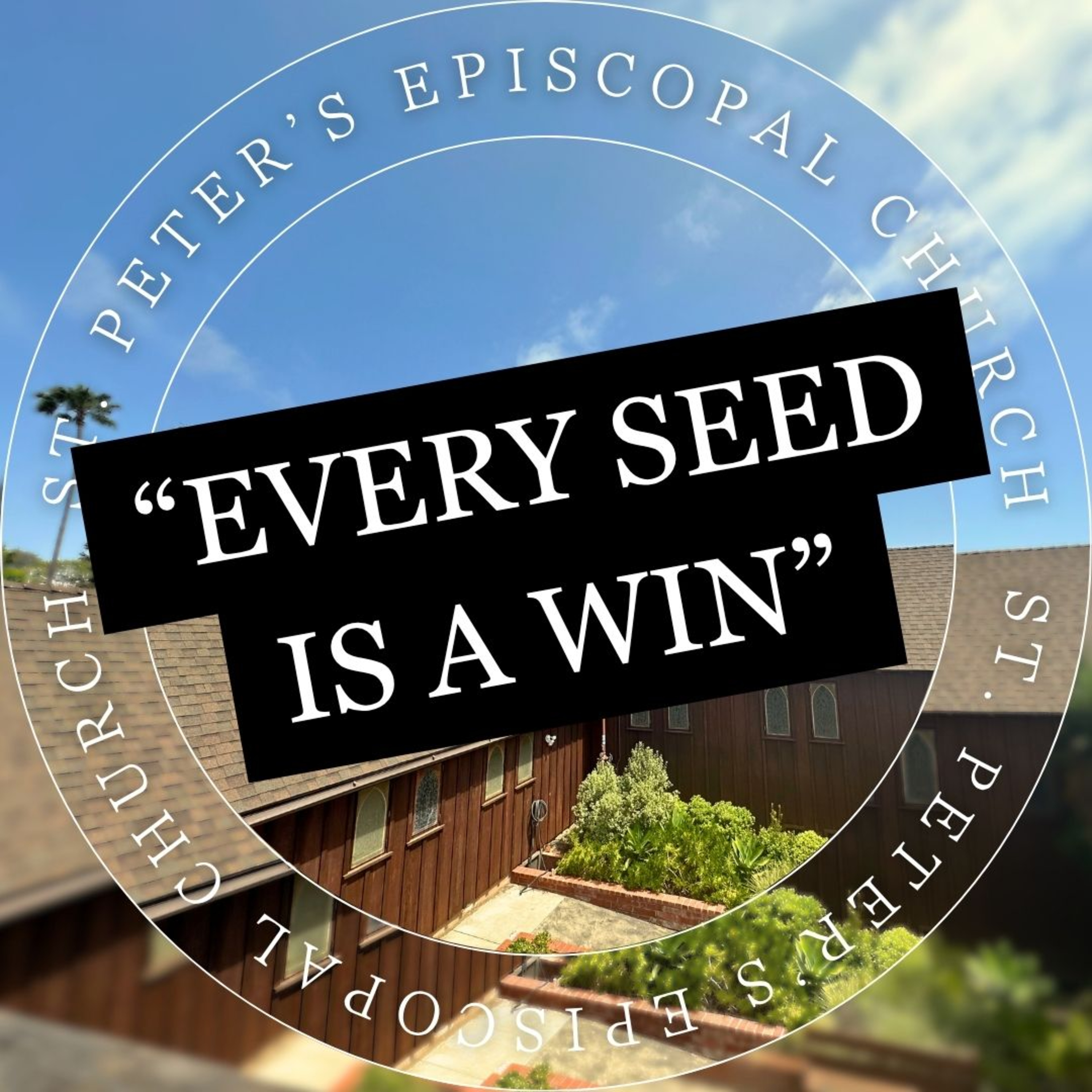Every Seed Is a Win: Finding Grace in the Parable of the Sower episode artwork