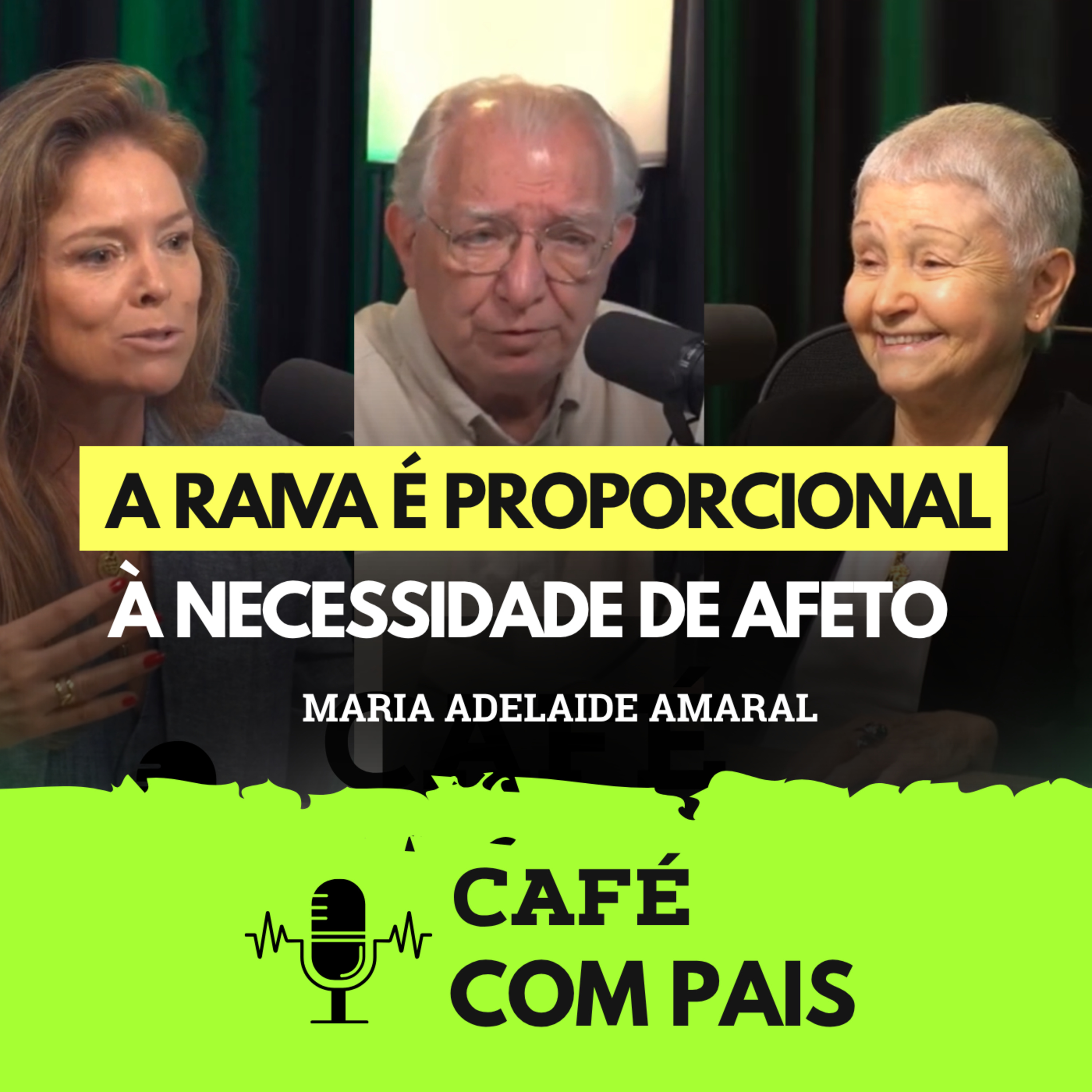 A raiva é proporcional à necessidade do afeto episode artwork