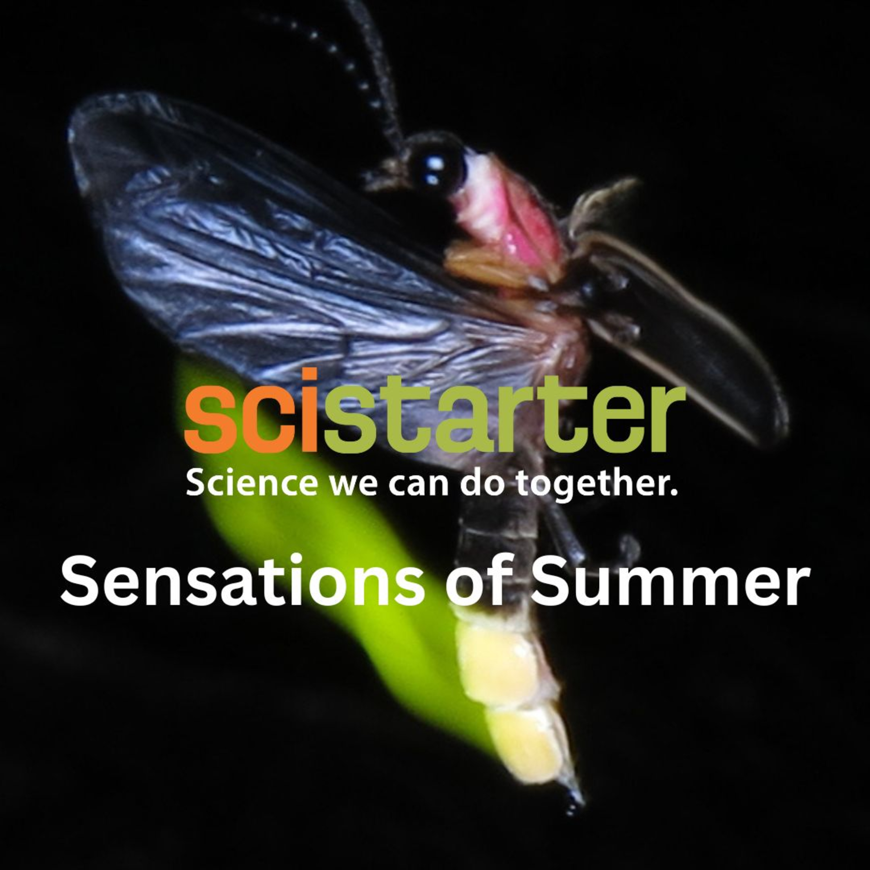 Citizen Science