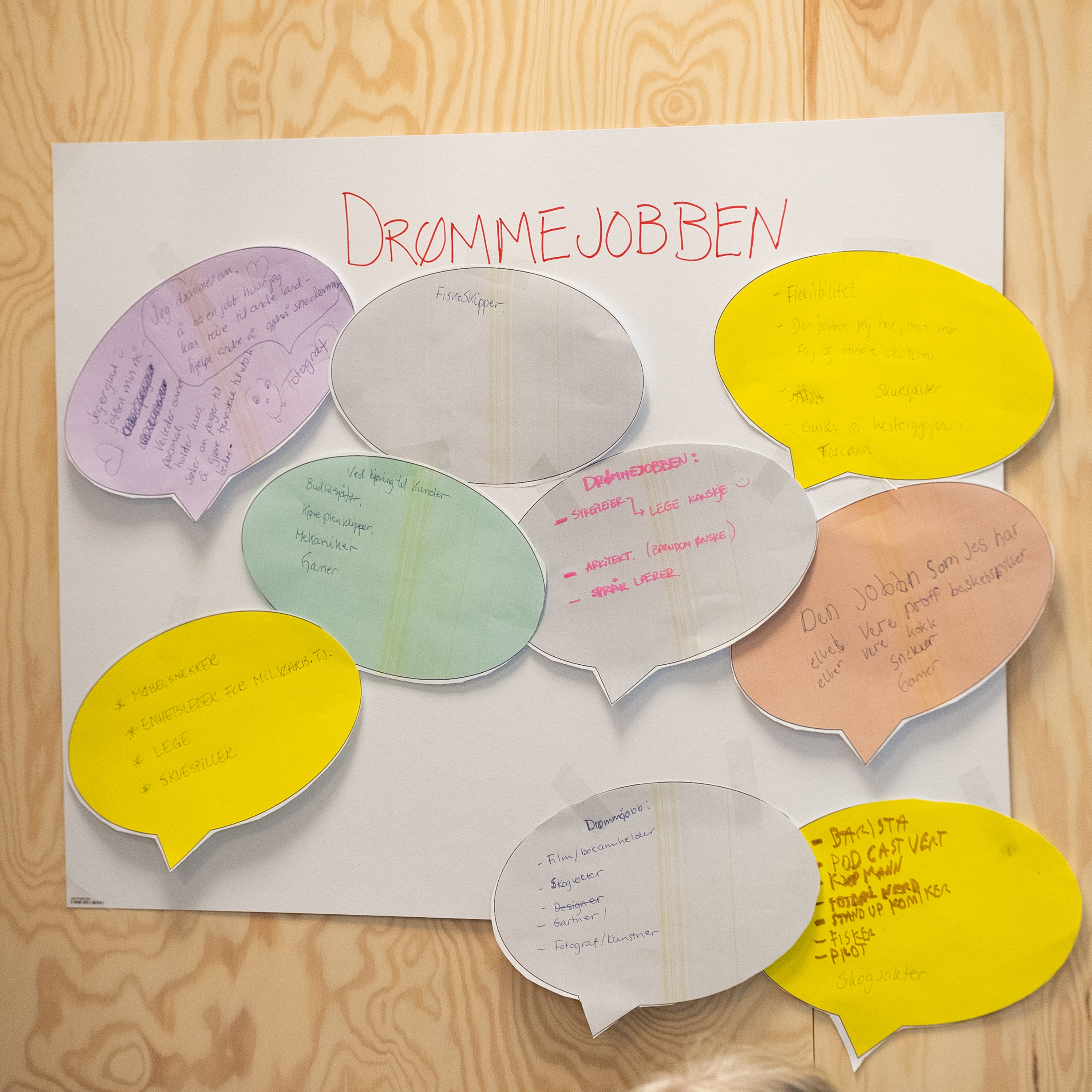 Hva er EGENTLIG en VERNEPLEIER?