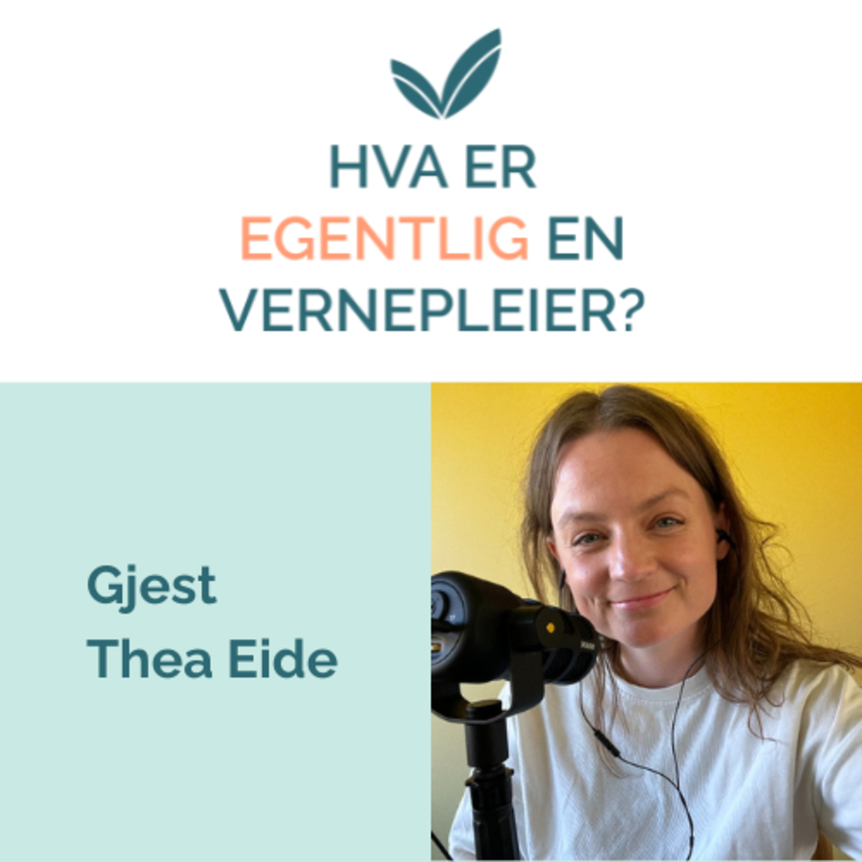 Hva er EGENTLIG en VERNEPLEIER?