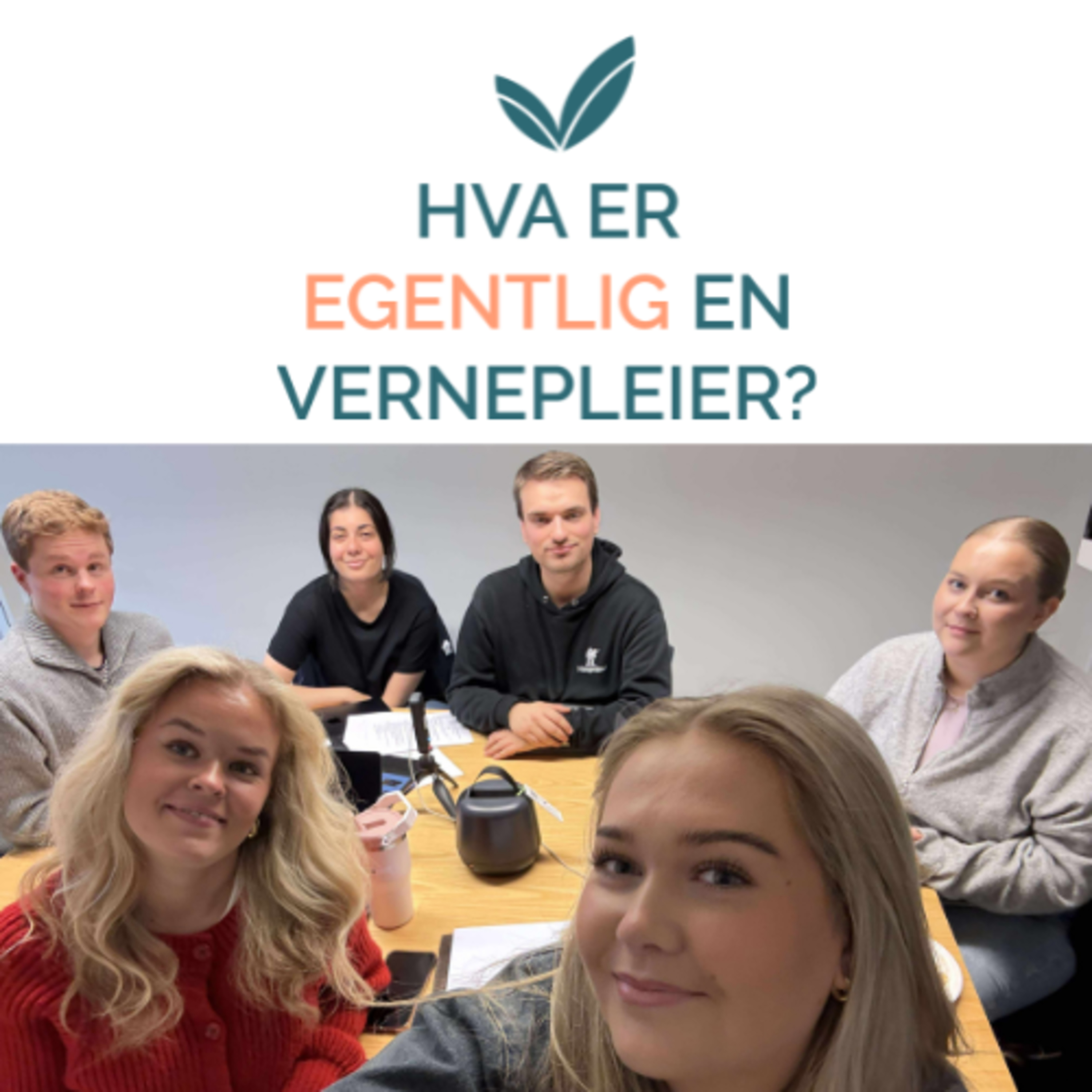 Hva er EGENTLIG en VERNEPLEIER?