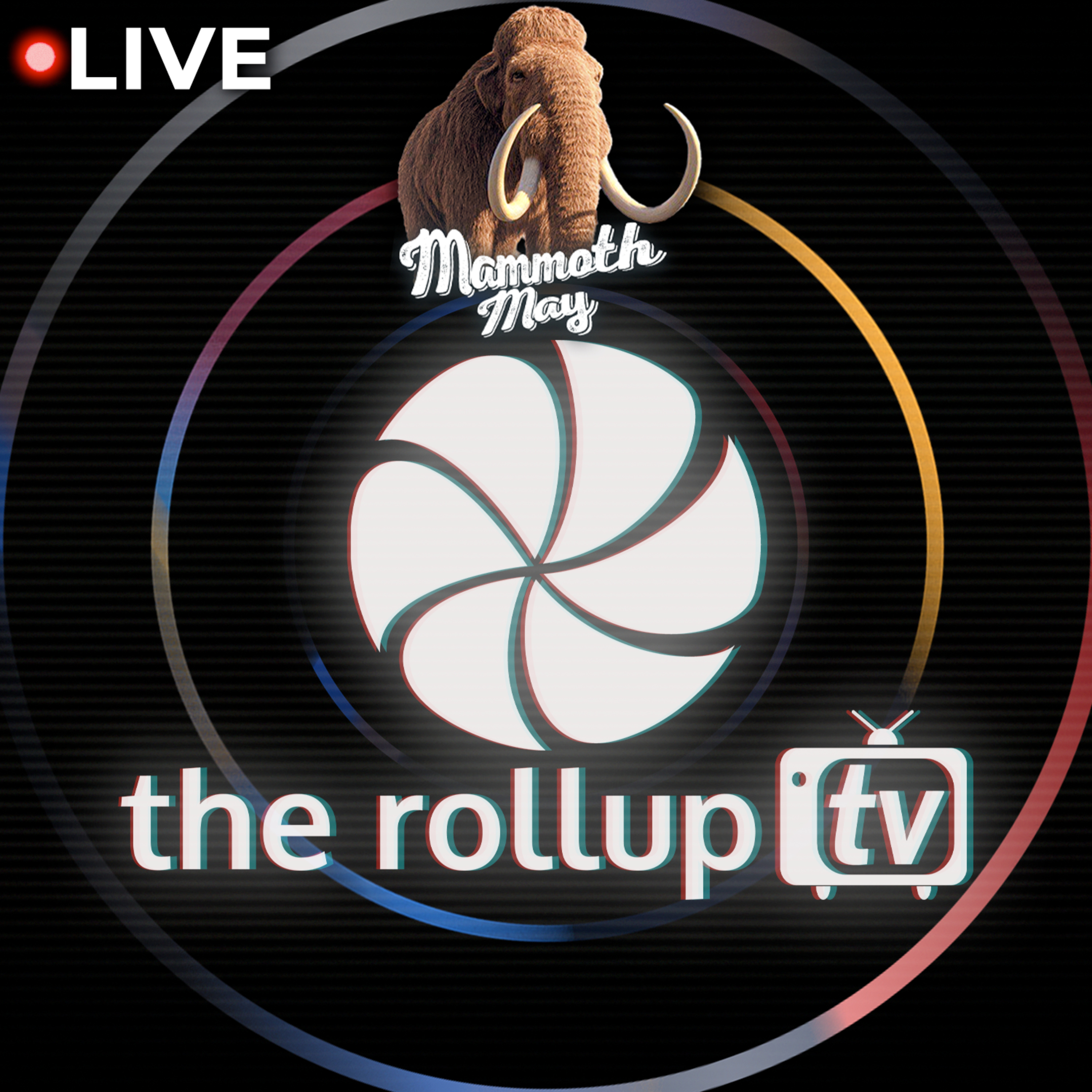 The Rollup