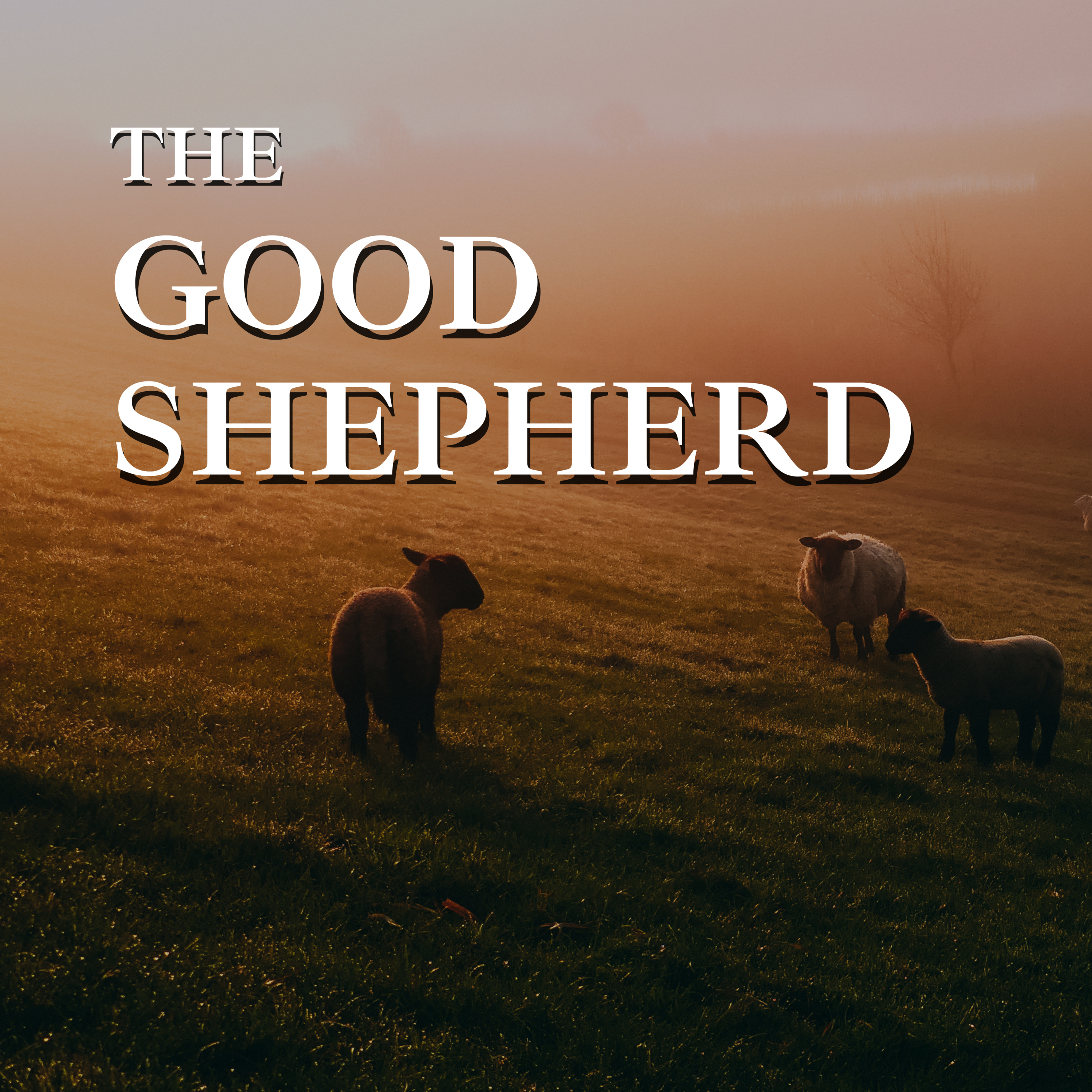 The Good Shepherd episode artwork