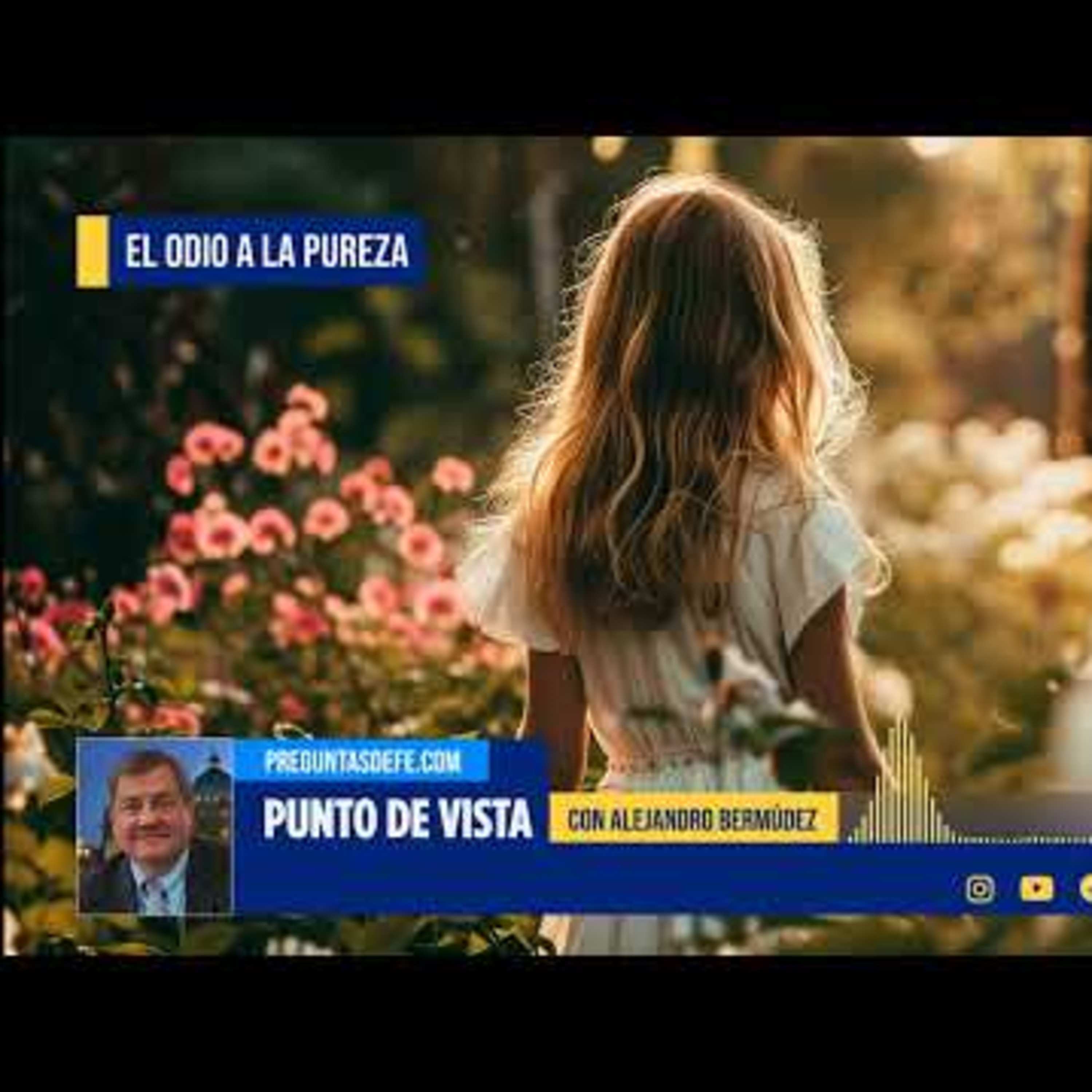 Punto de Vista con Alejandro Bermúdez