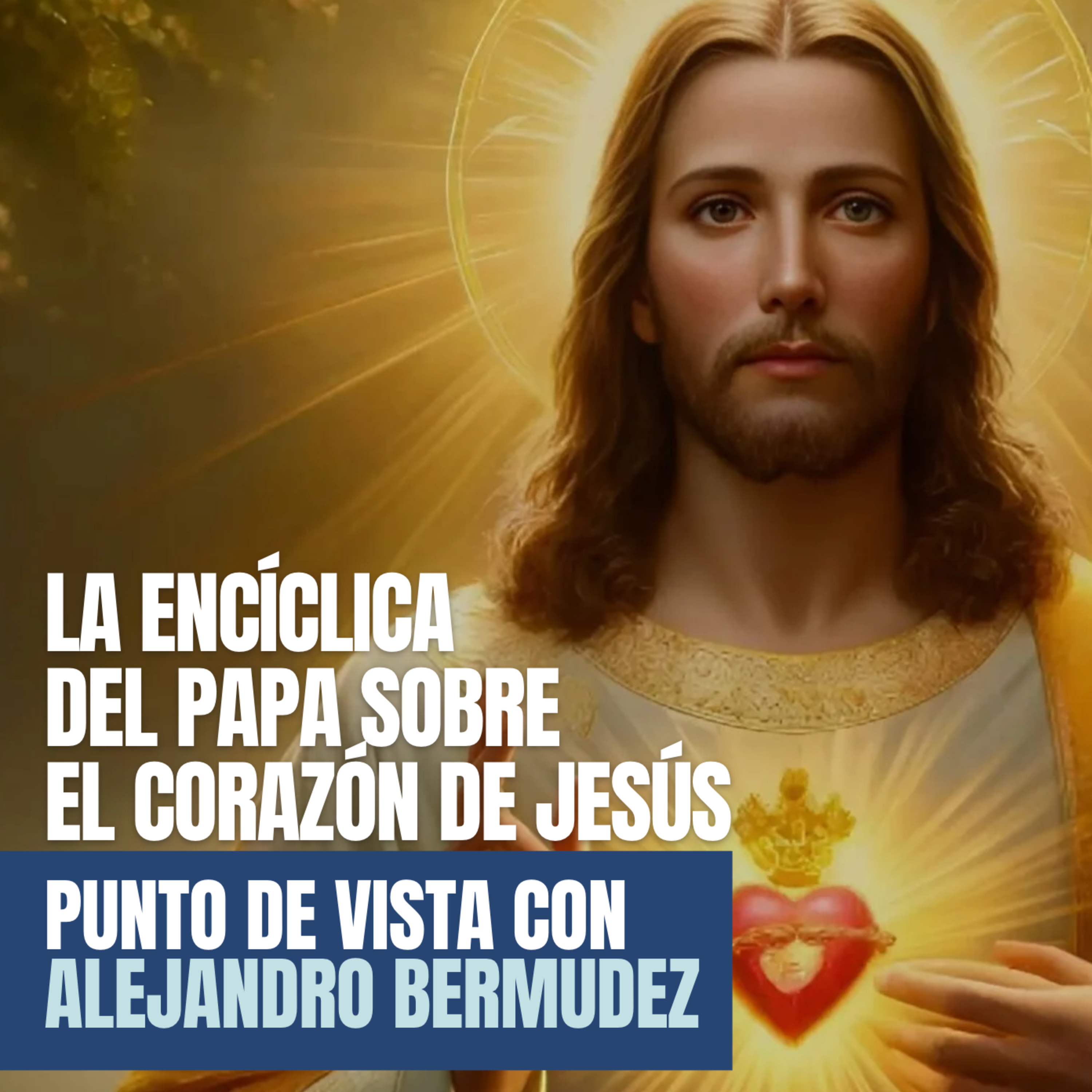 Portada de Punto de Vista con Alejandro Bermúdez