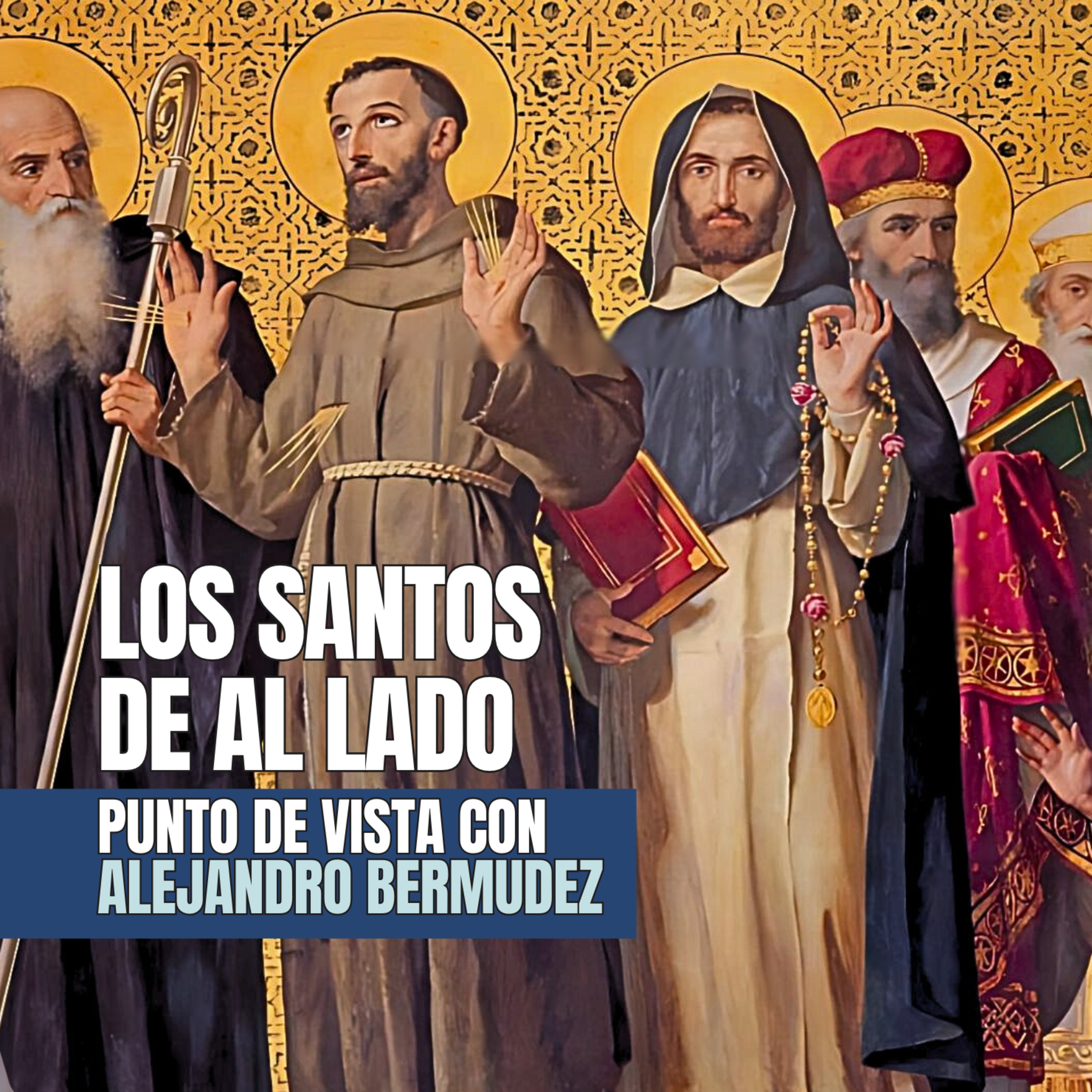 Punto de Vista con Alejandro Bermúdez