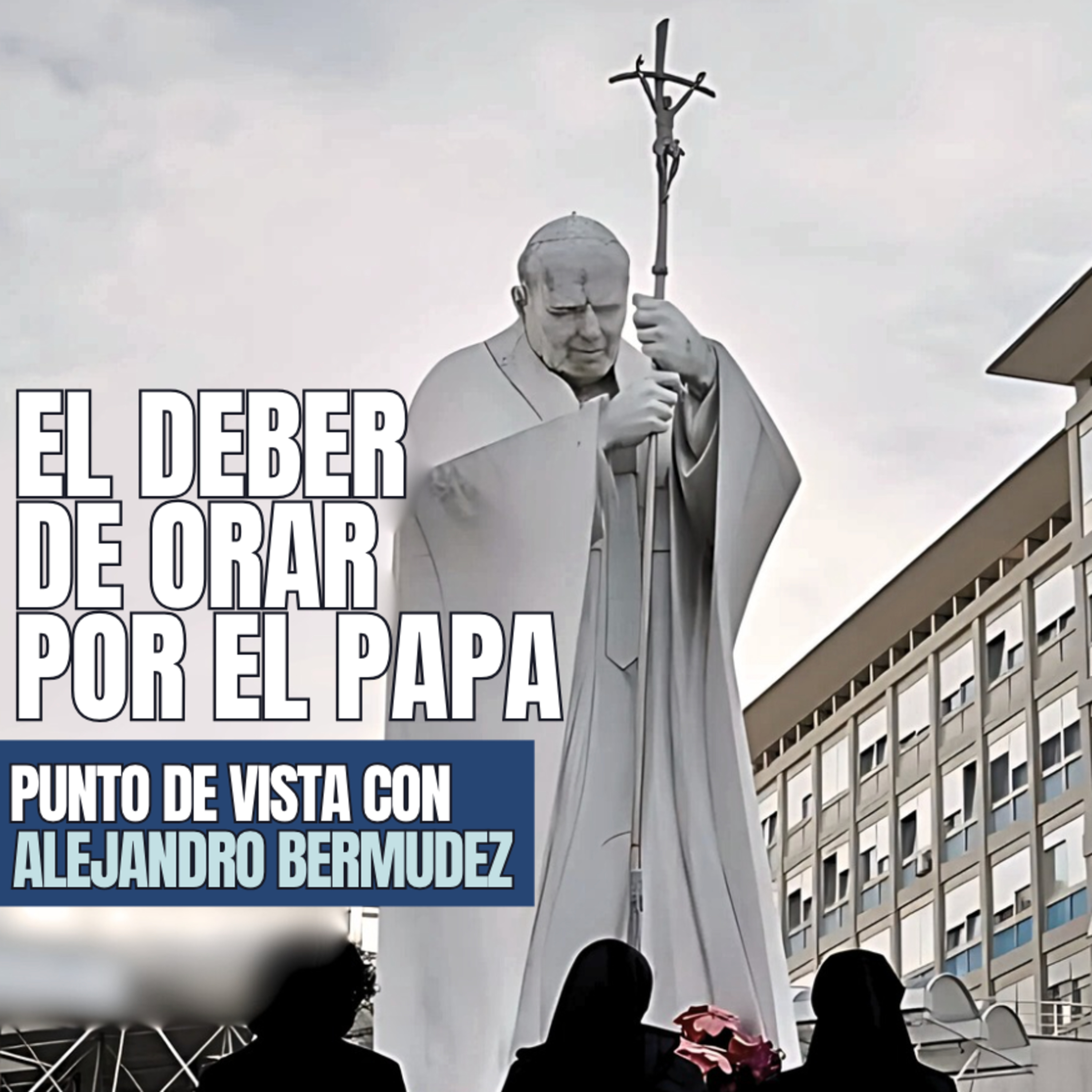 Portada de Punto de Vista con Alejandro Bermúdez