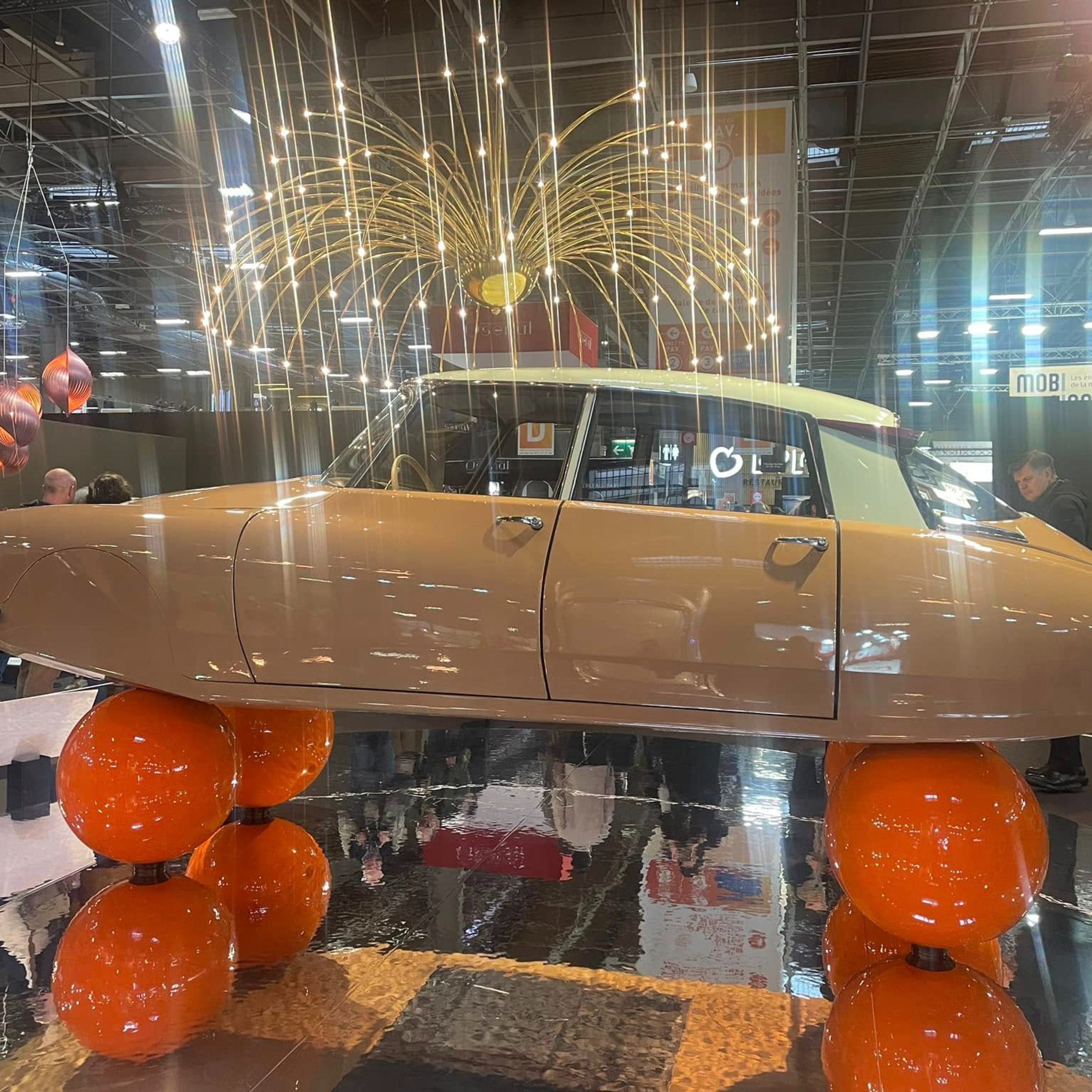 L\'automobile décryptée