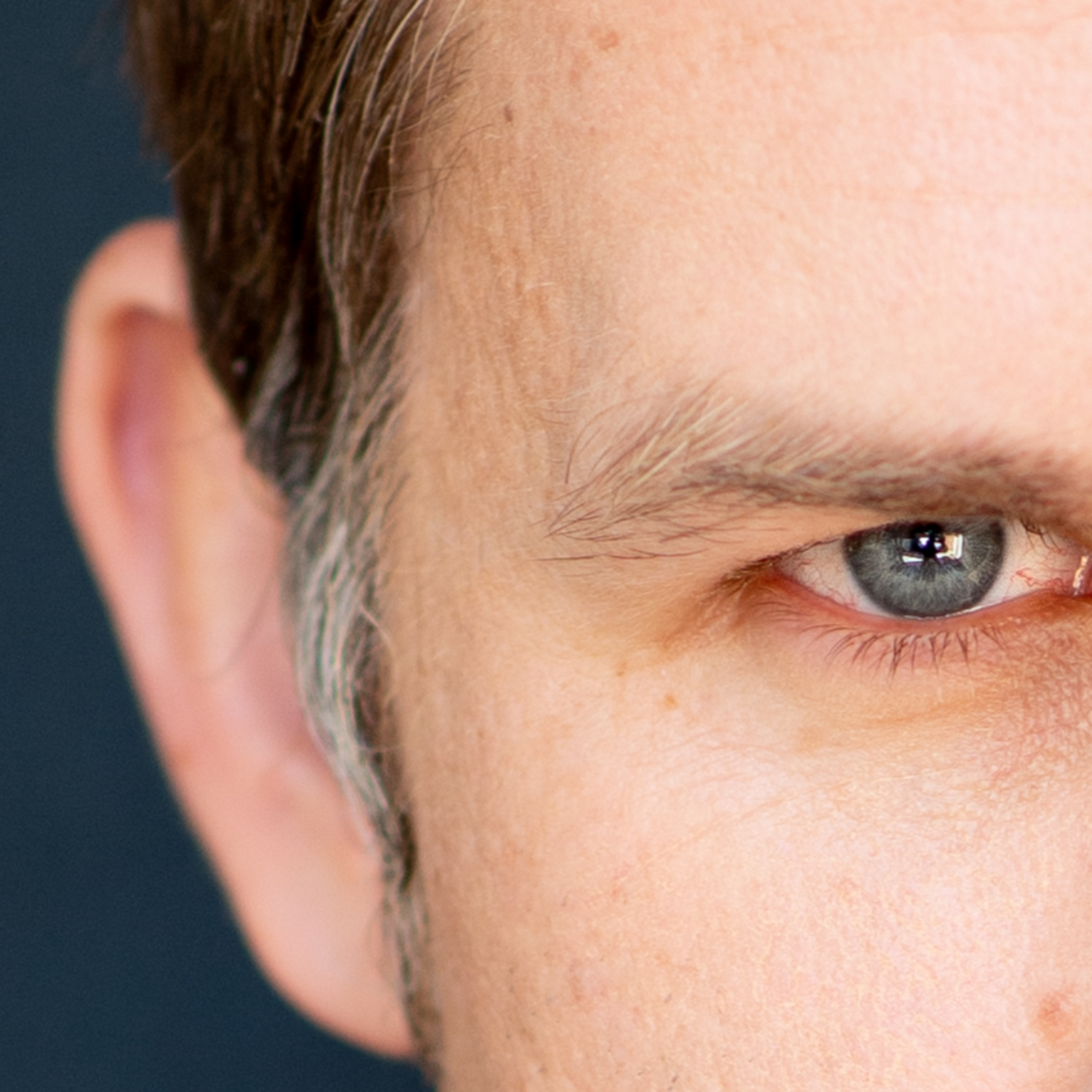 The Diaries of Netovicius the Vampire