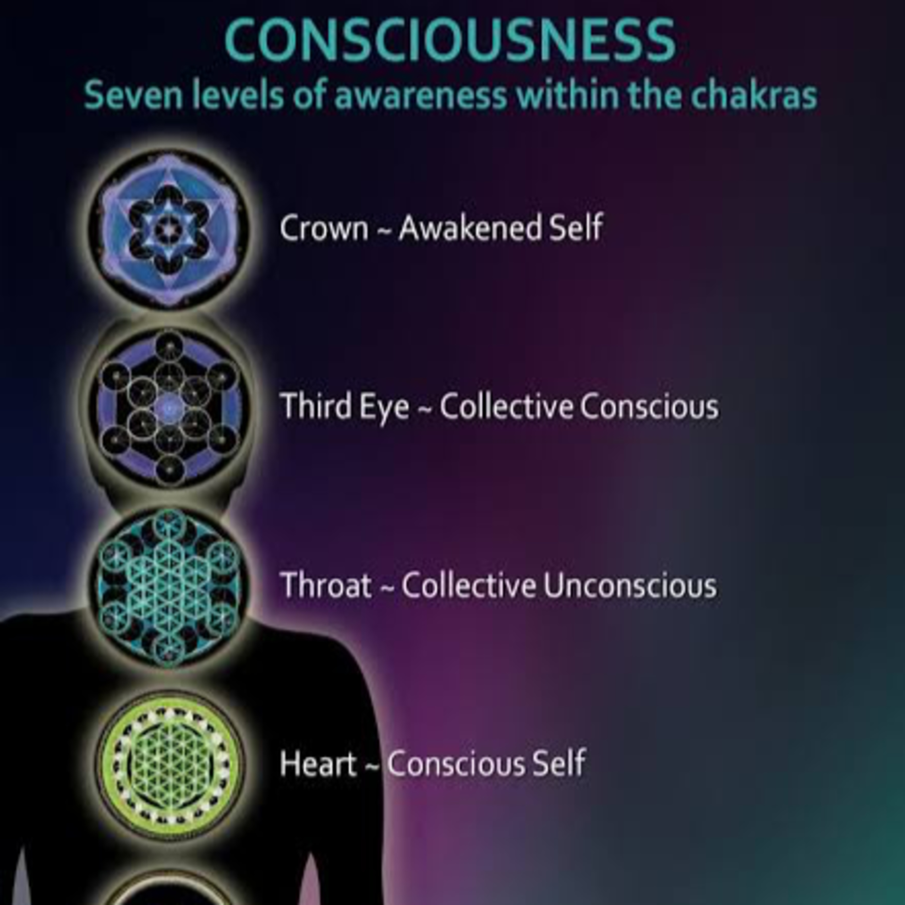 7 Levels of Consciousness episode artwork