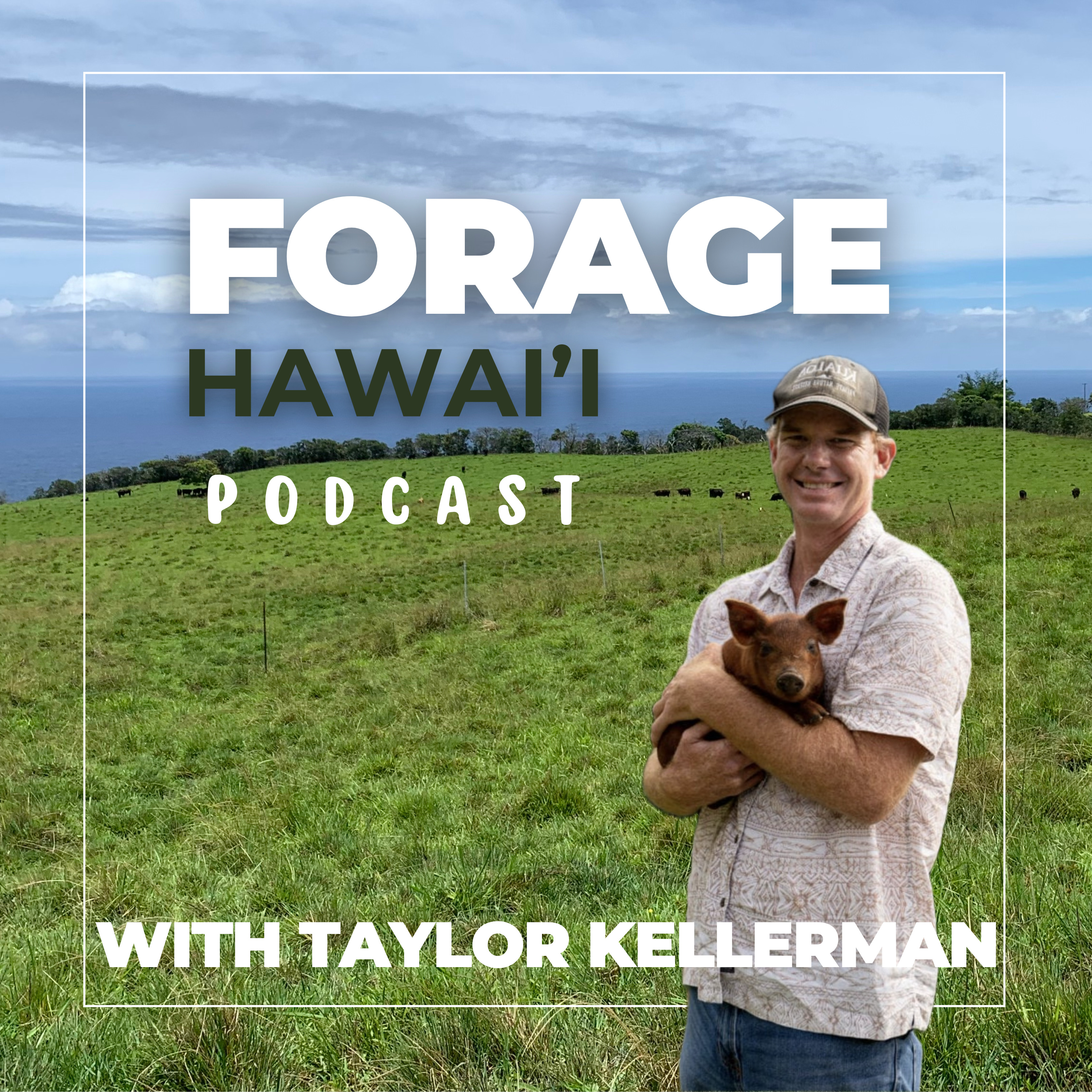 Forage Hawaii Podcast