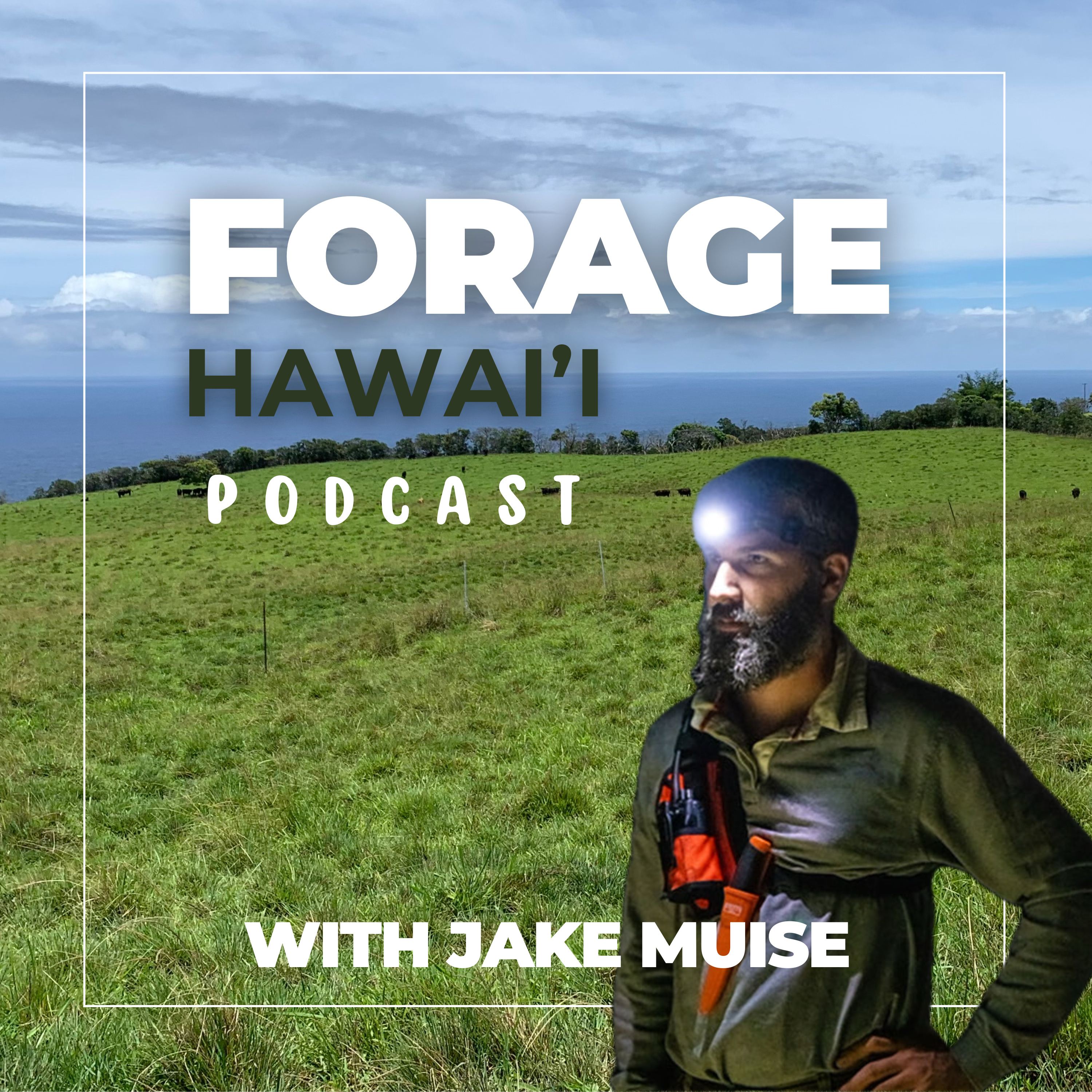 Forage Hawaii Podcast