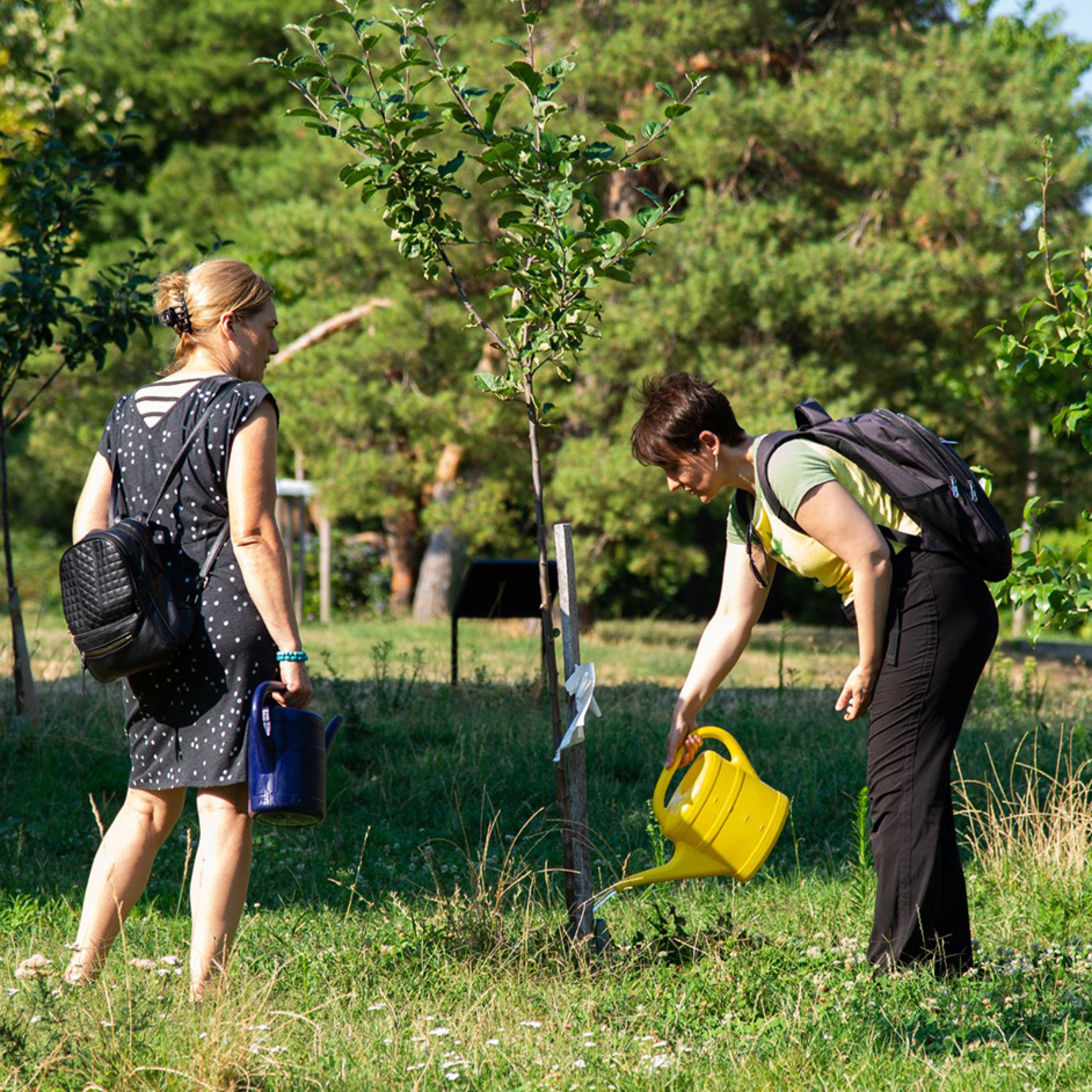 Zöld Hang - minden, ami környezetvédelem