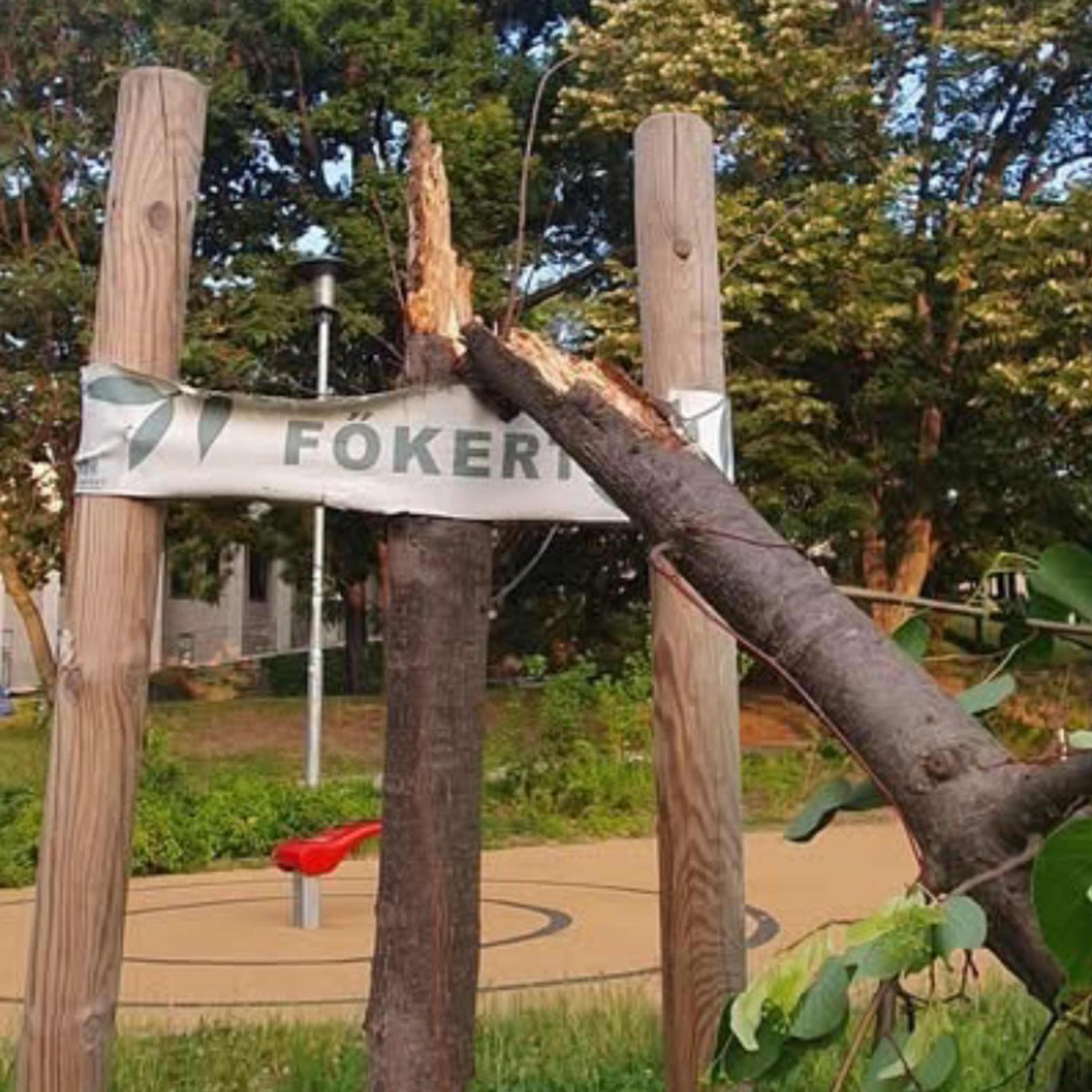 Zöld Hang - minden, ami környezetvédelem