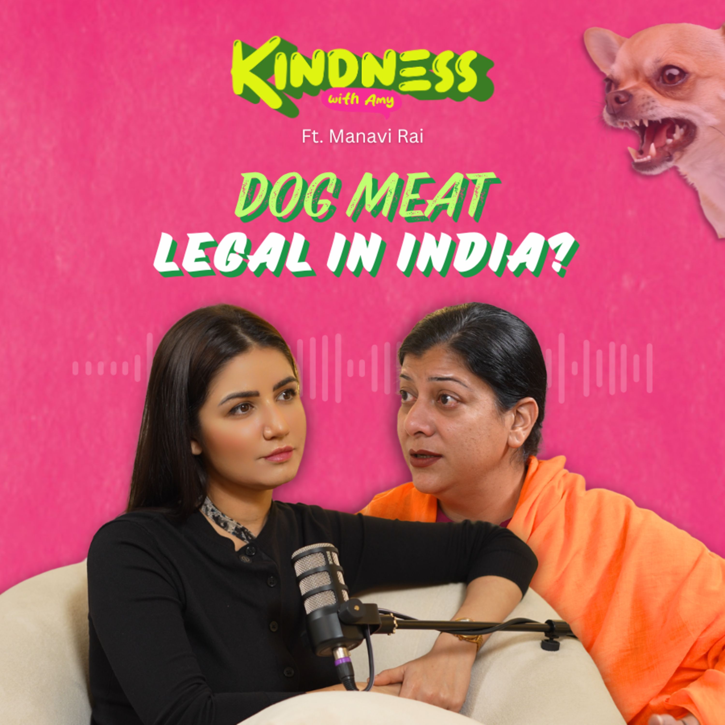[Hindi & English] Does India want to LEGALISE DOG MEAT?😱 Are NGOs in India CORRUPT? | Manavi Rai episode artwork