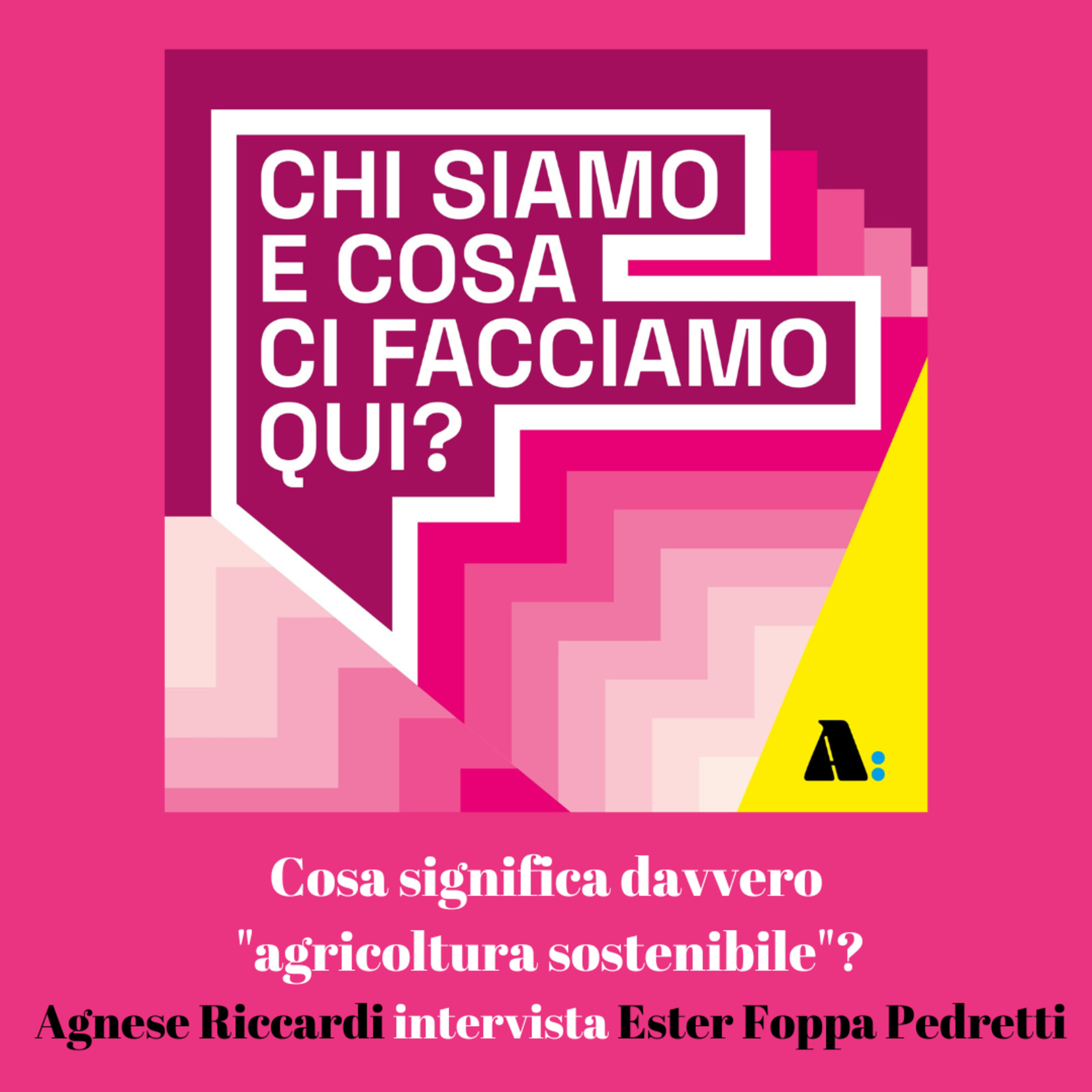 Ancona Rivista a Colori