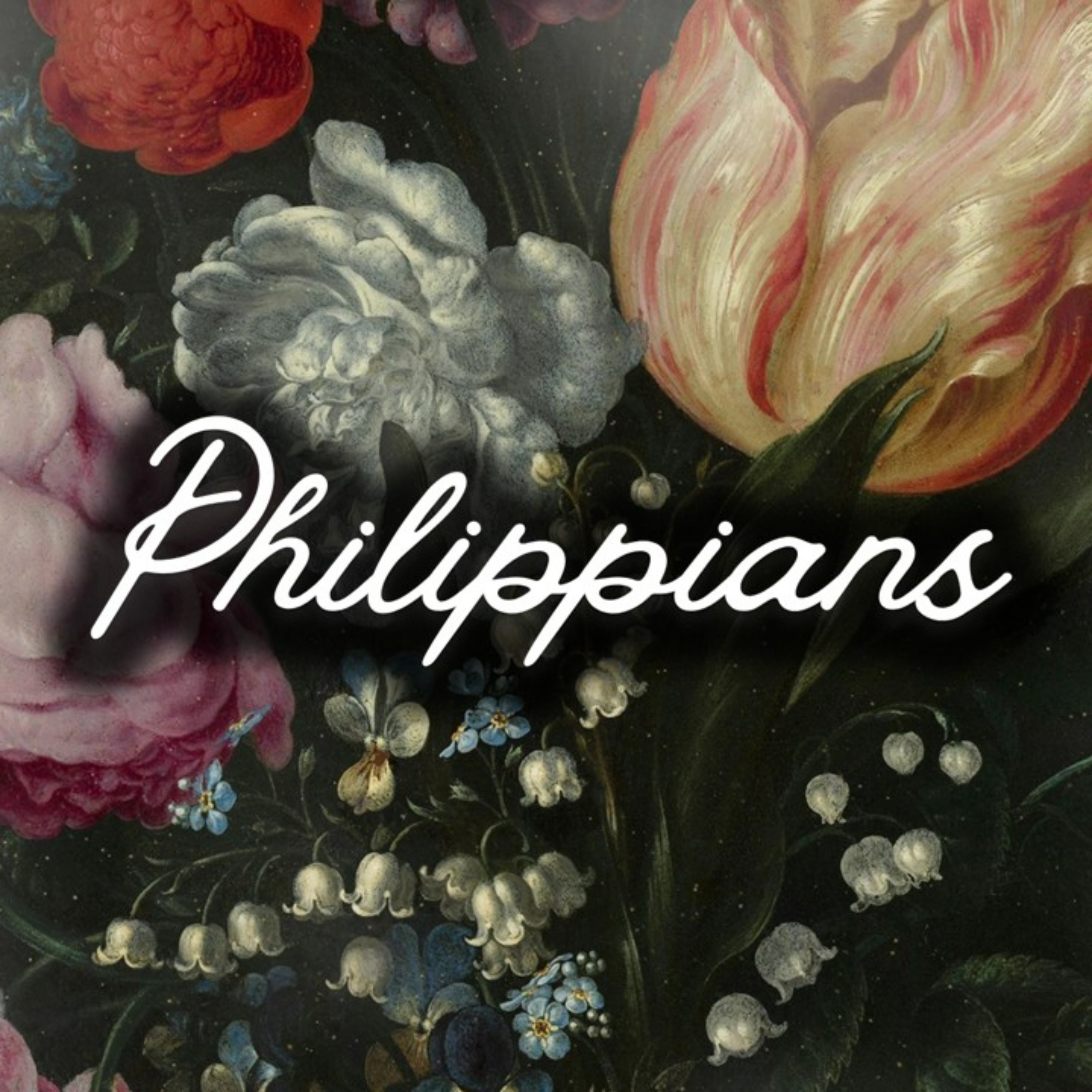 E2 | Attachments & Affections | Philippians  episode artwork