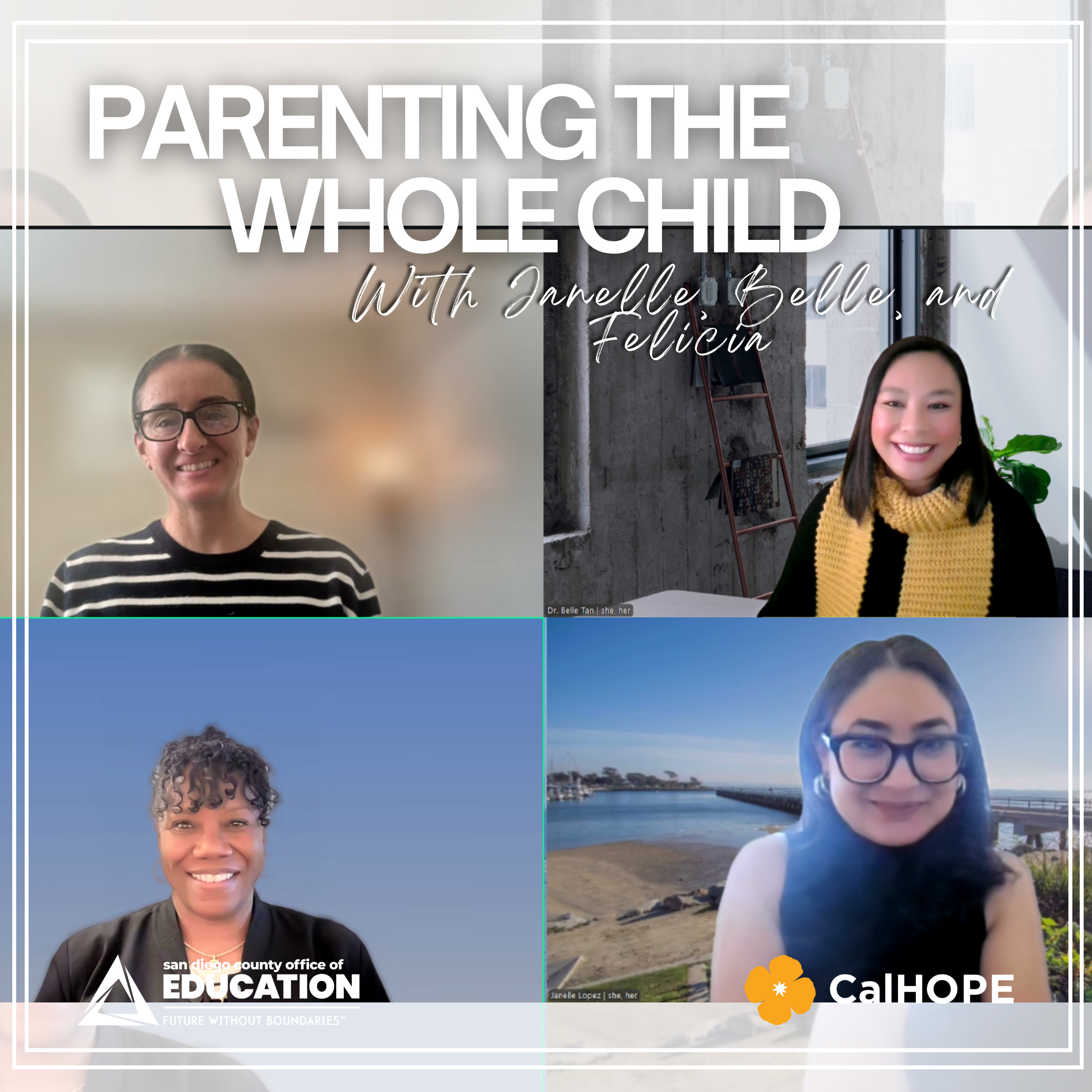 Parenting the Whole Child