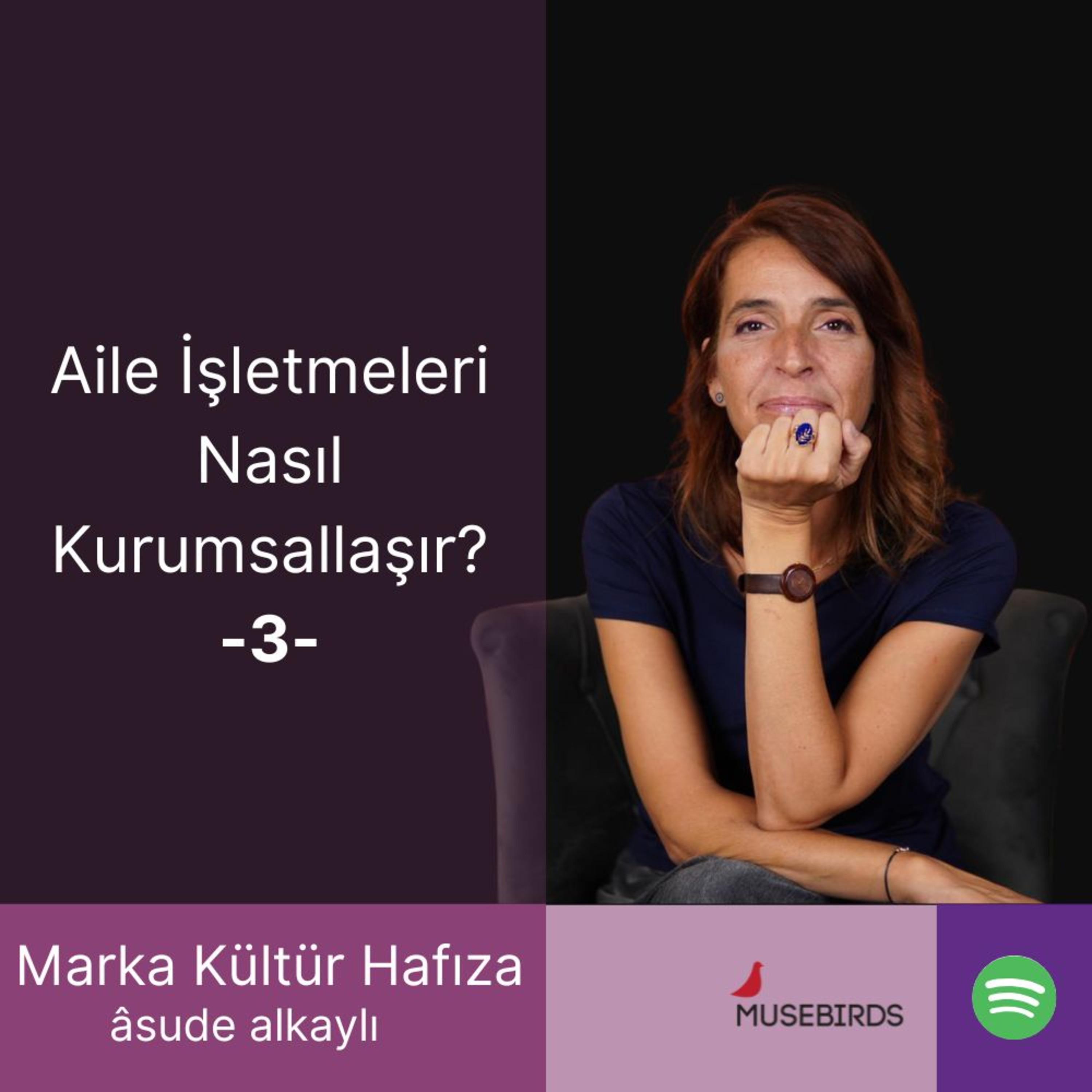 Aile İşletmeleri Nasıl Kurumsallaşır? 3 episode artwork