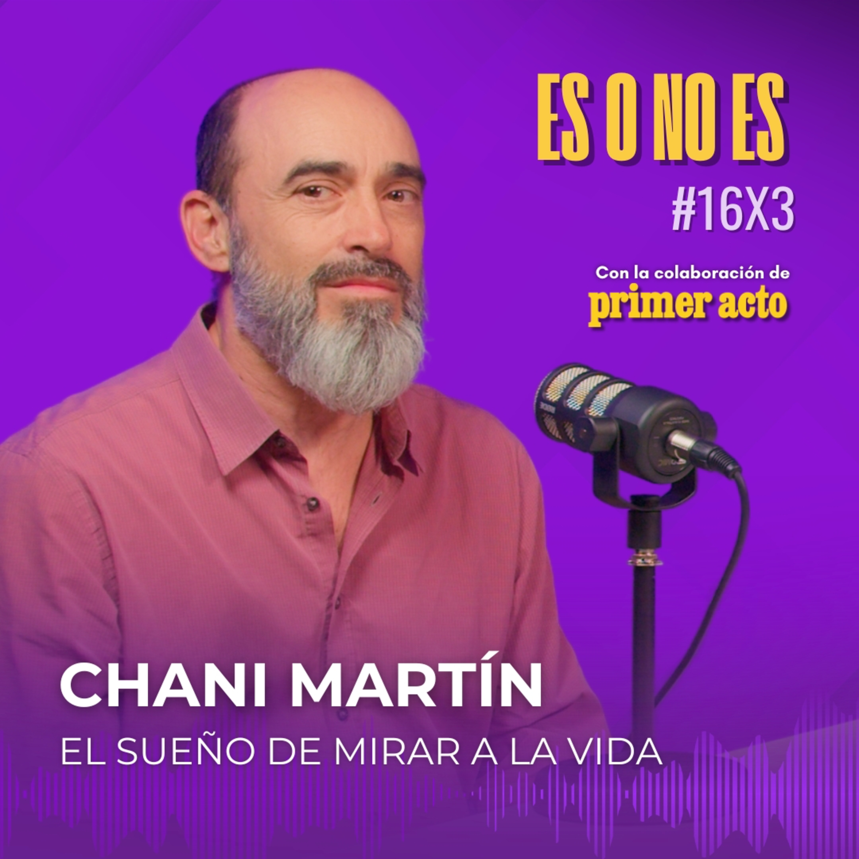 El sueño de mirar a la vida: Entrevista a Chani Martín episode artwork