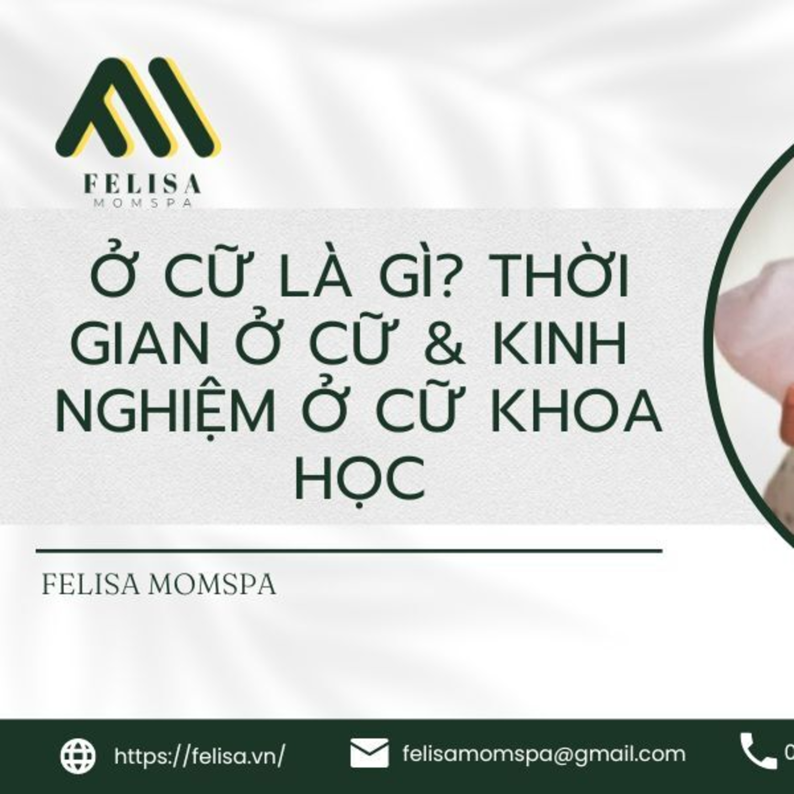 FELISA MOMSPA