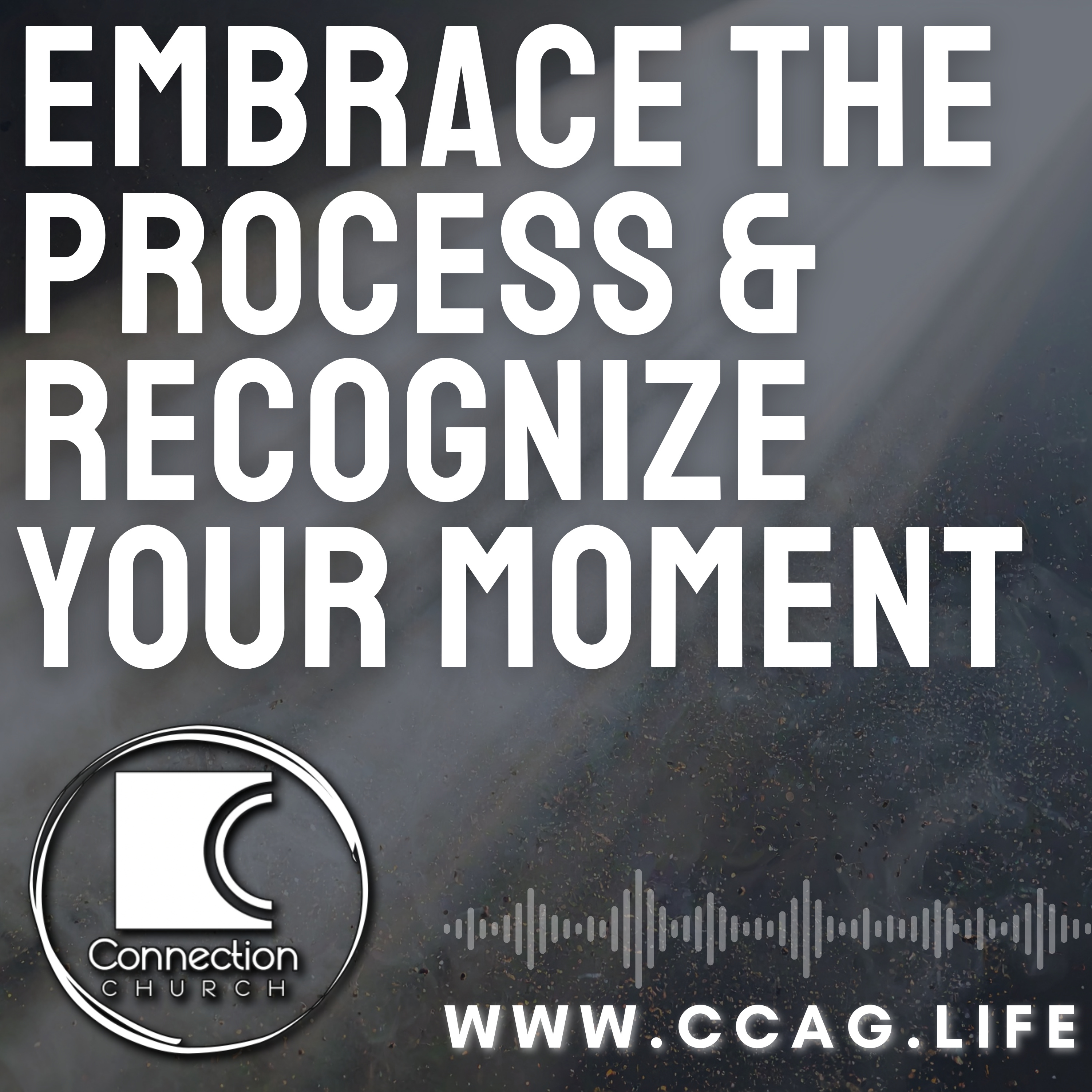 Embrace the Process and Recognize Your Moment episode artwork