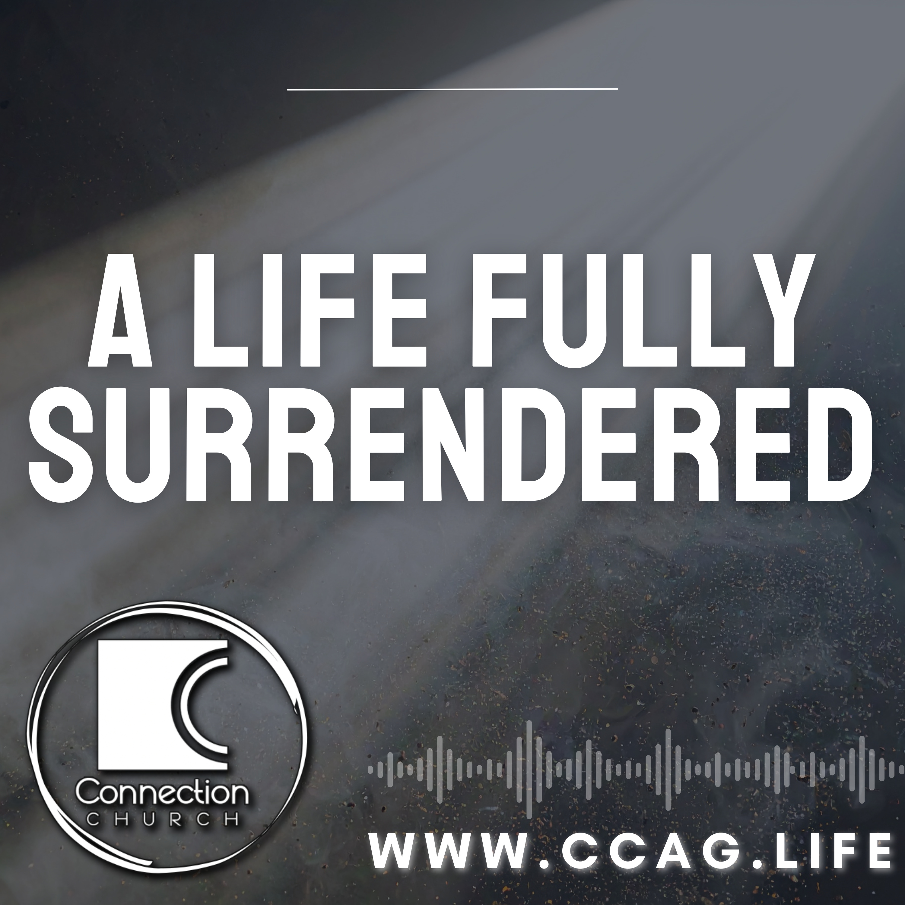 A Life Fully Surrendered episode artwork
